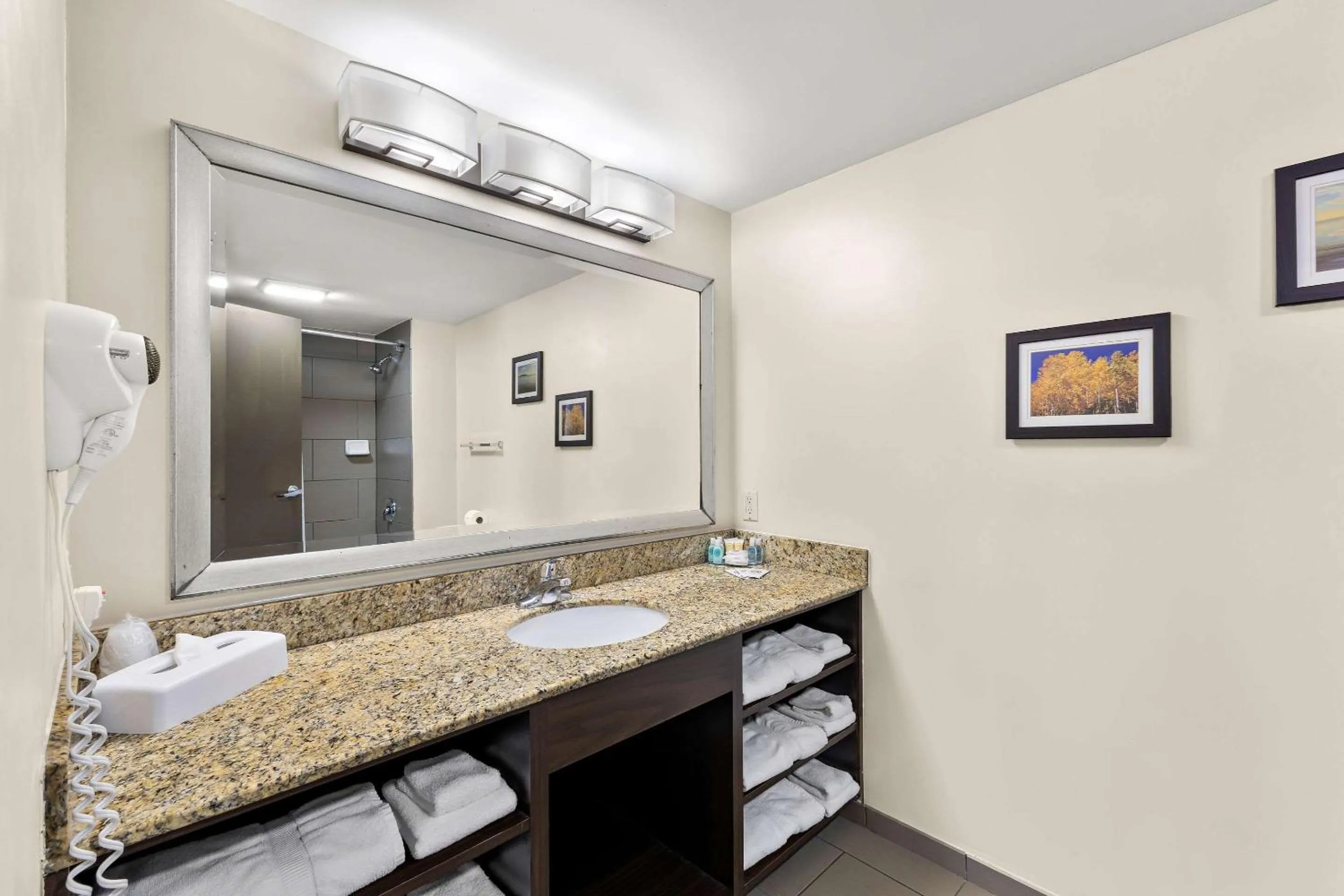 Bedroom in Comfort Inn Layton - Salt Lake City