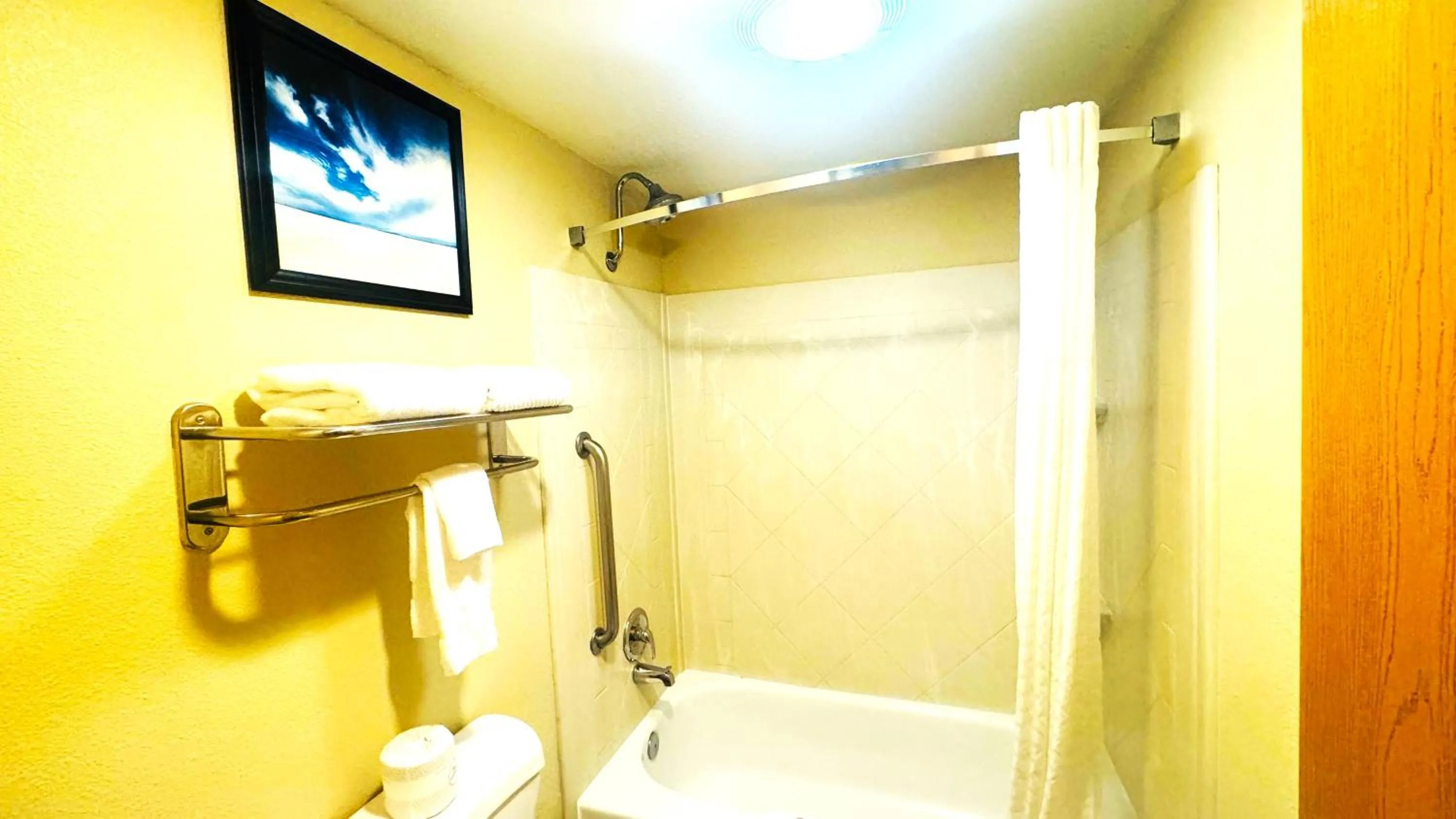 Shower in Comfort Inn Salt Lake City Downtown