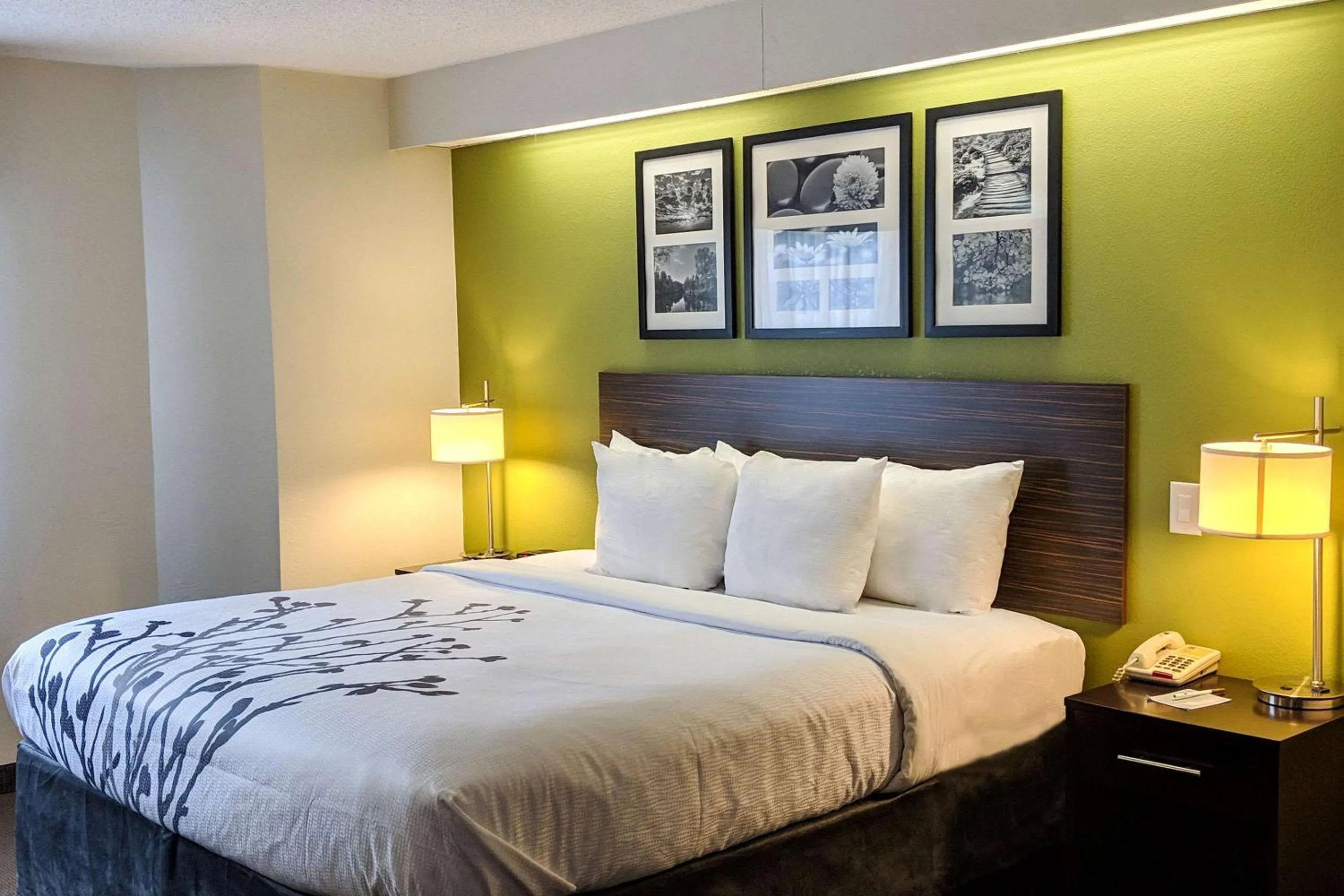 Photo of the whole room, Bed in Sleep Inn Woodbridge - Potomac Mills