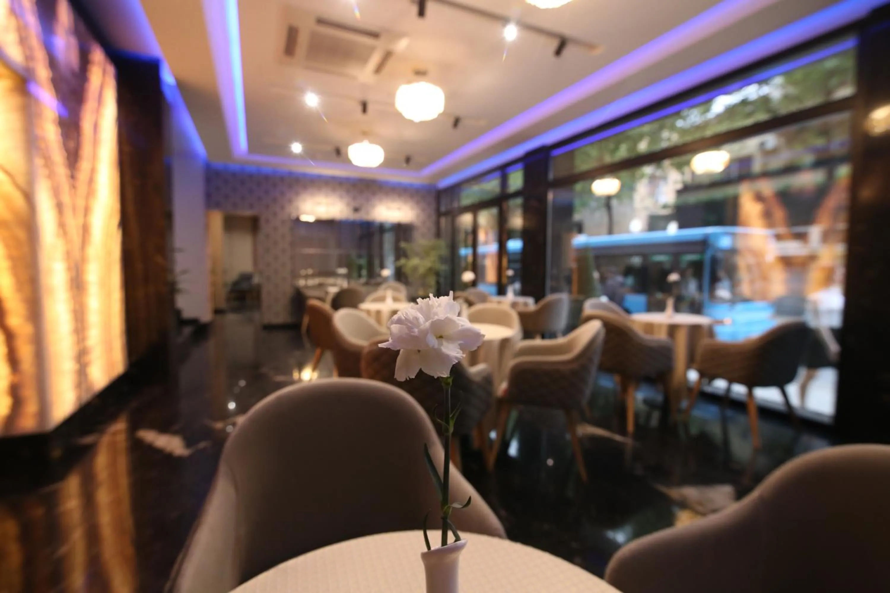 Lounge or bar in Emerald Boutique Hotel