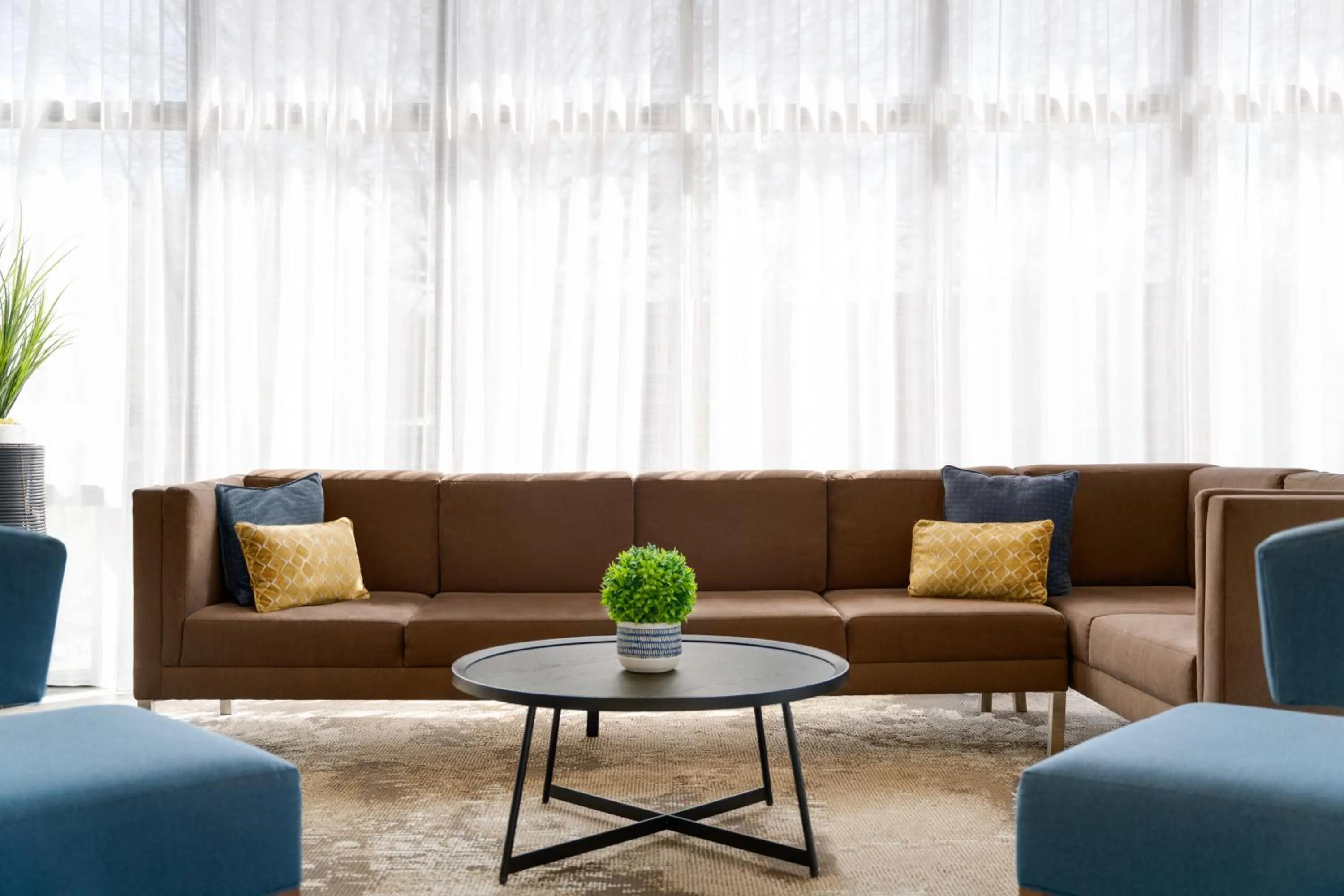 Lobby or reception in Wingate by Wyndham Williamsburg