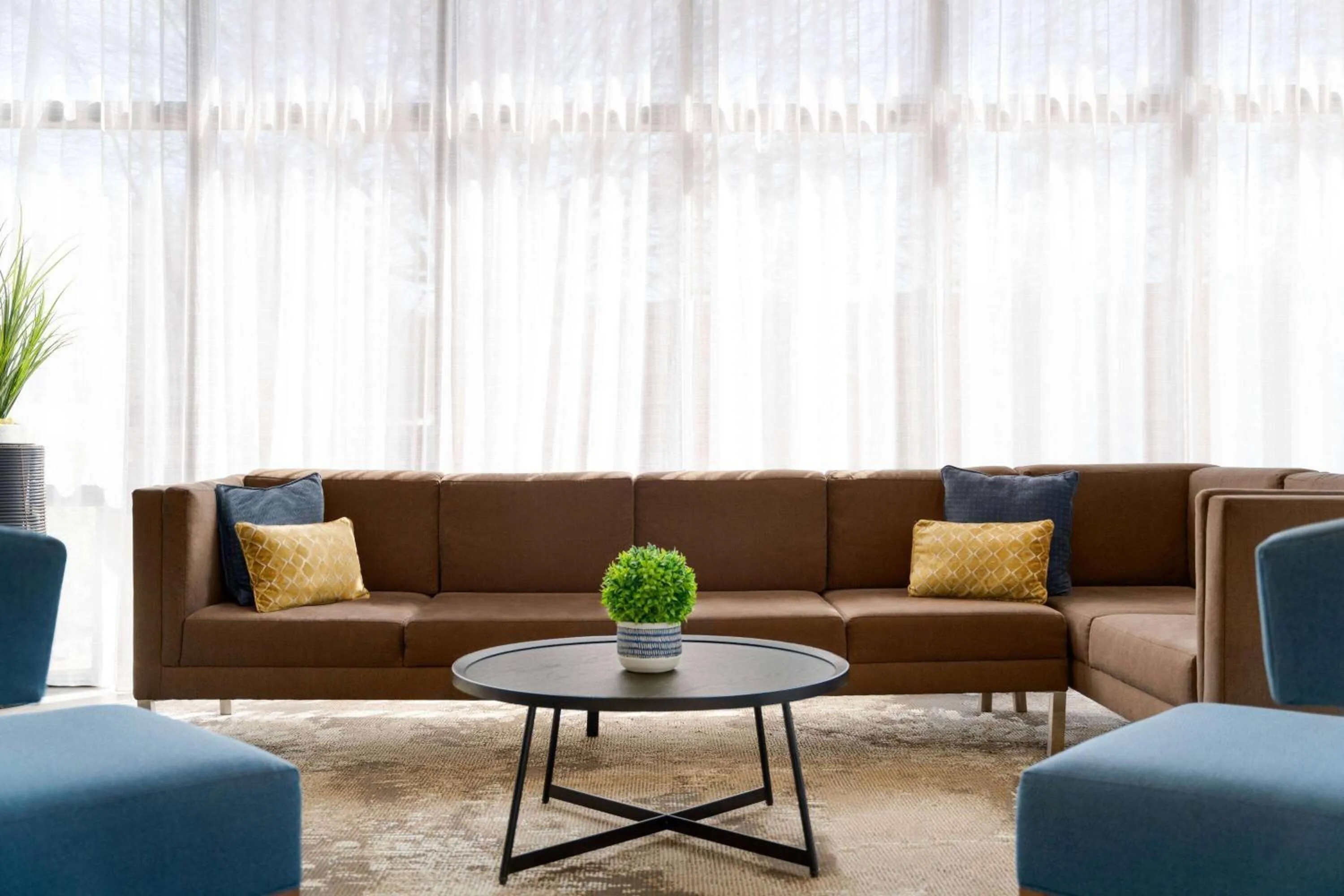 Lobby or reception in Wingate by Wyndham Williamsburg