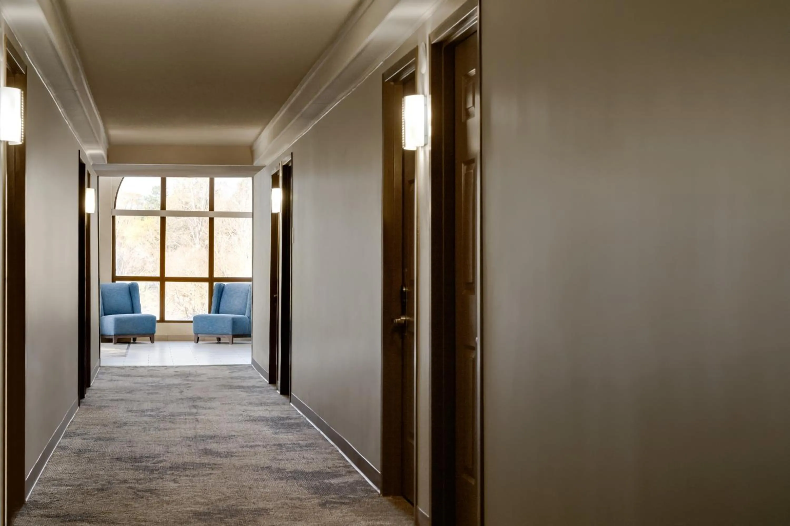 Area and facilities in Wingate by Wyndham Williamsburg