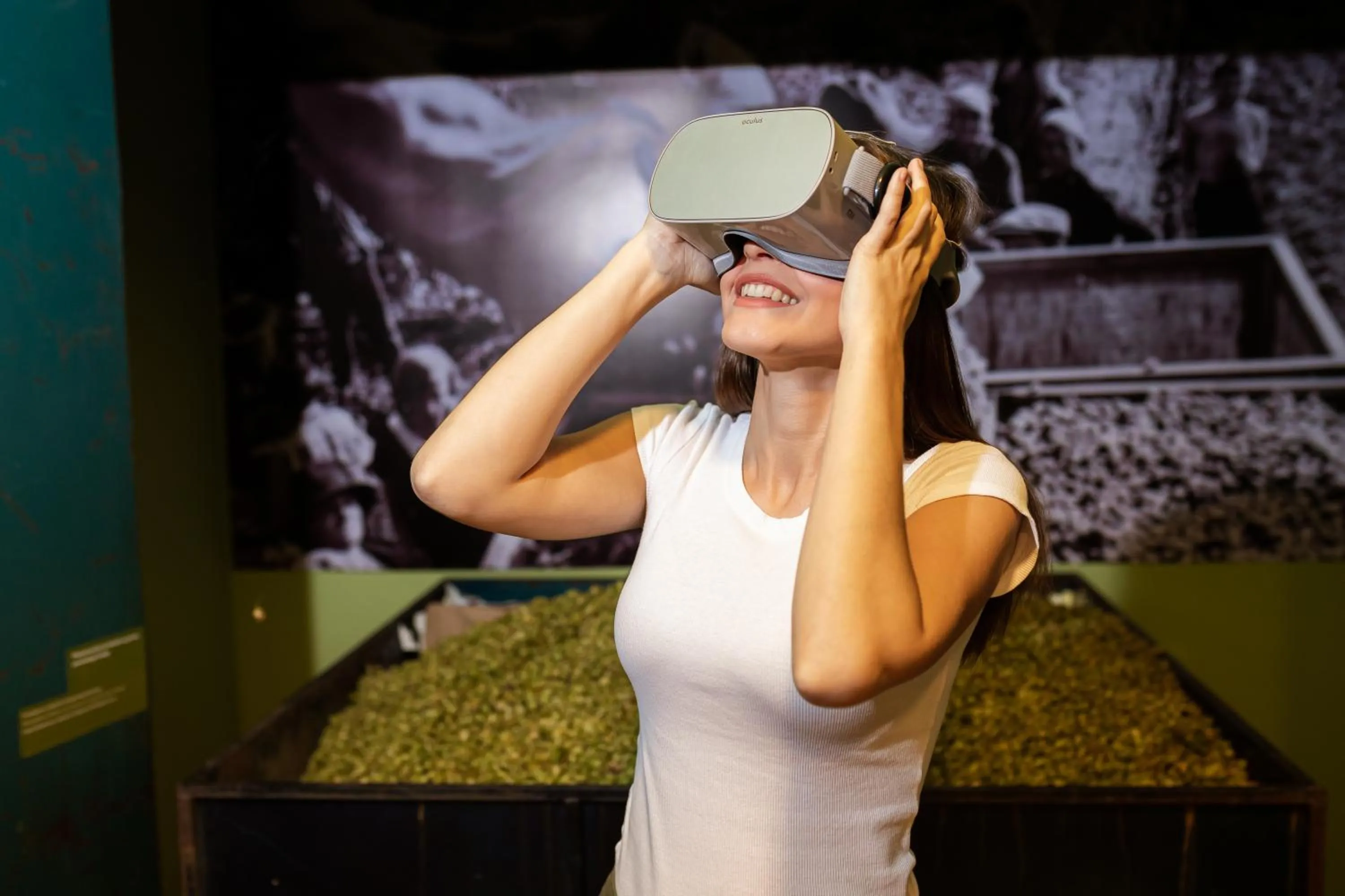 Activities in Hotel A plus