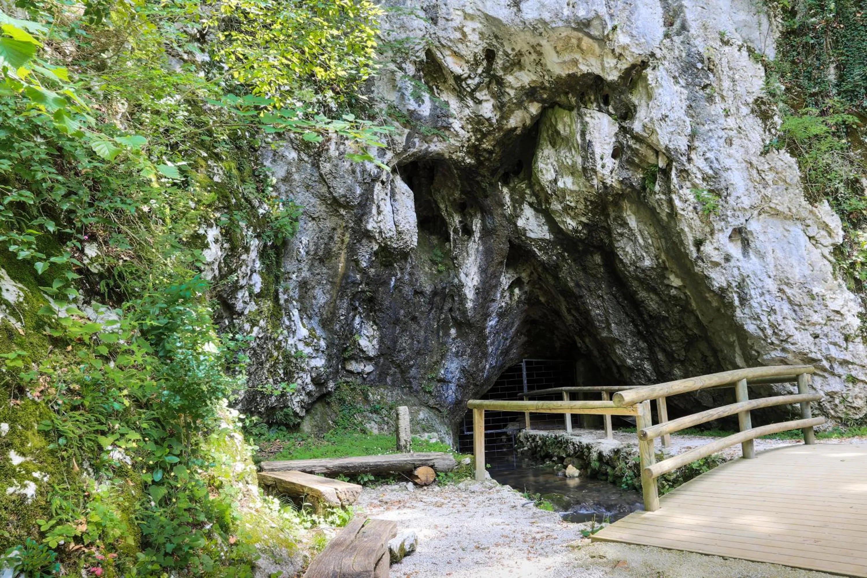 Activities in Hotel A plus