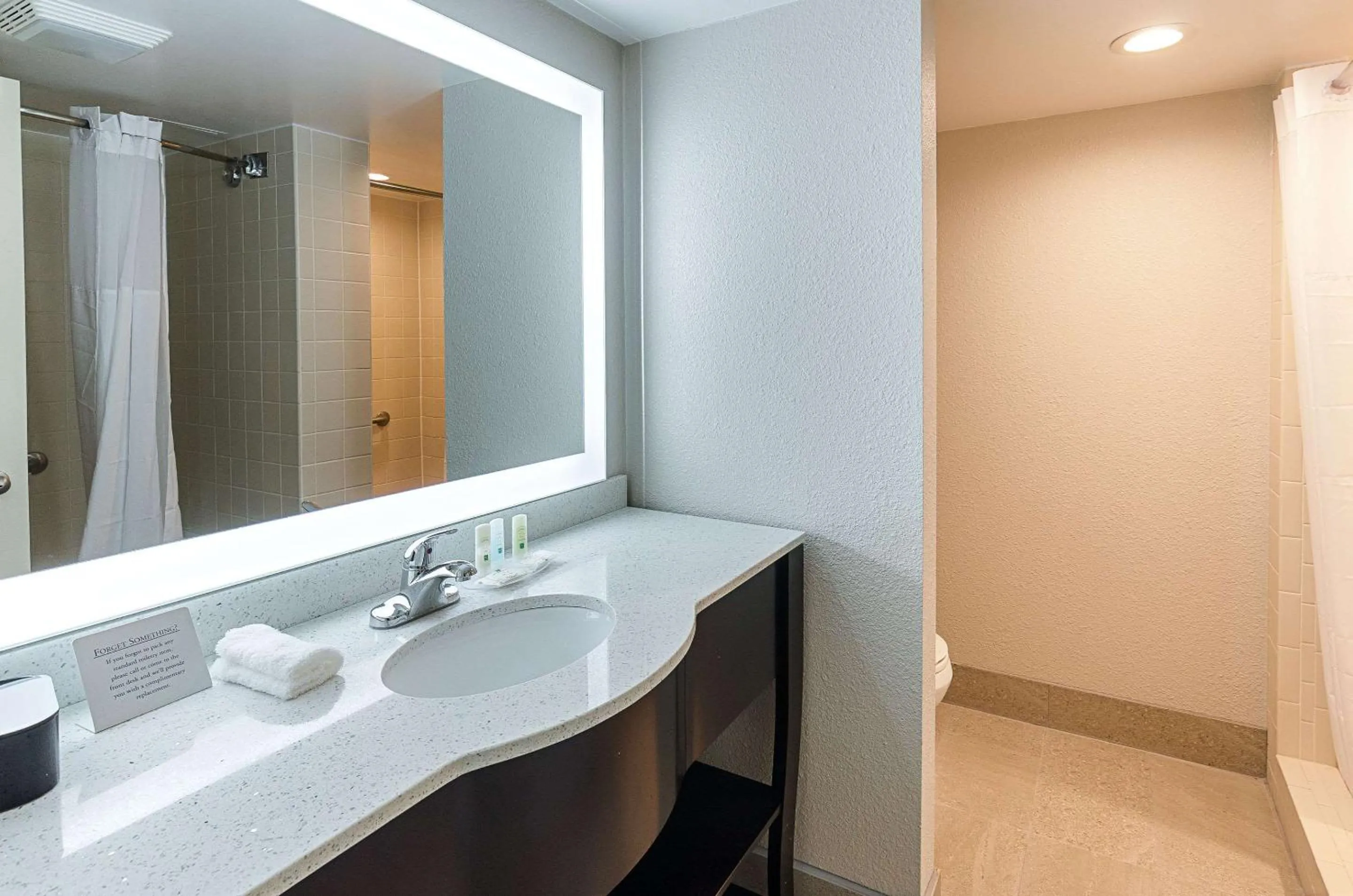 Bathroom in Quality Inn Tanglewood