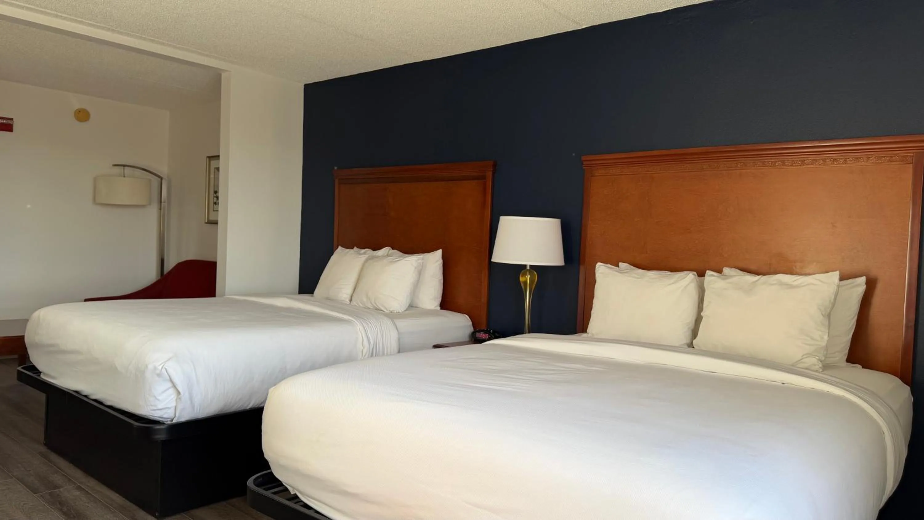 Bed in Comfort Suites Dulles Airport