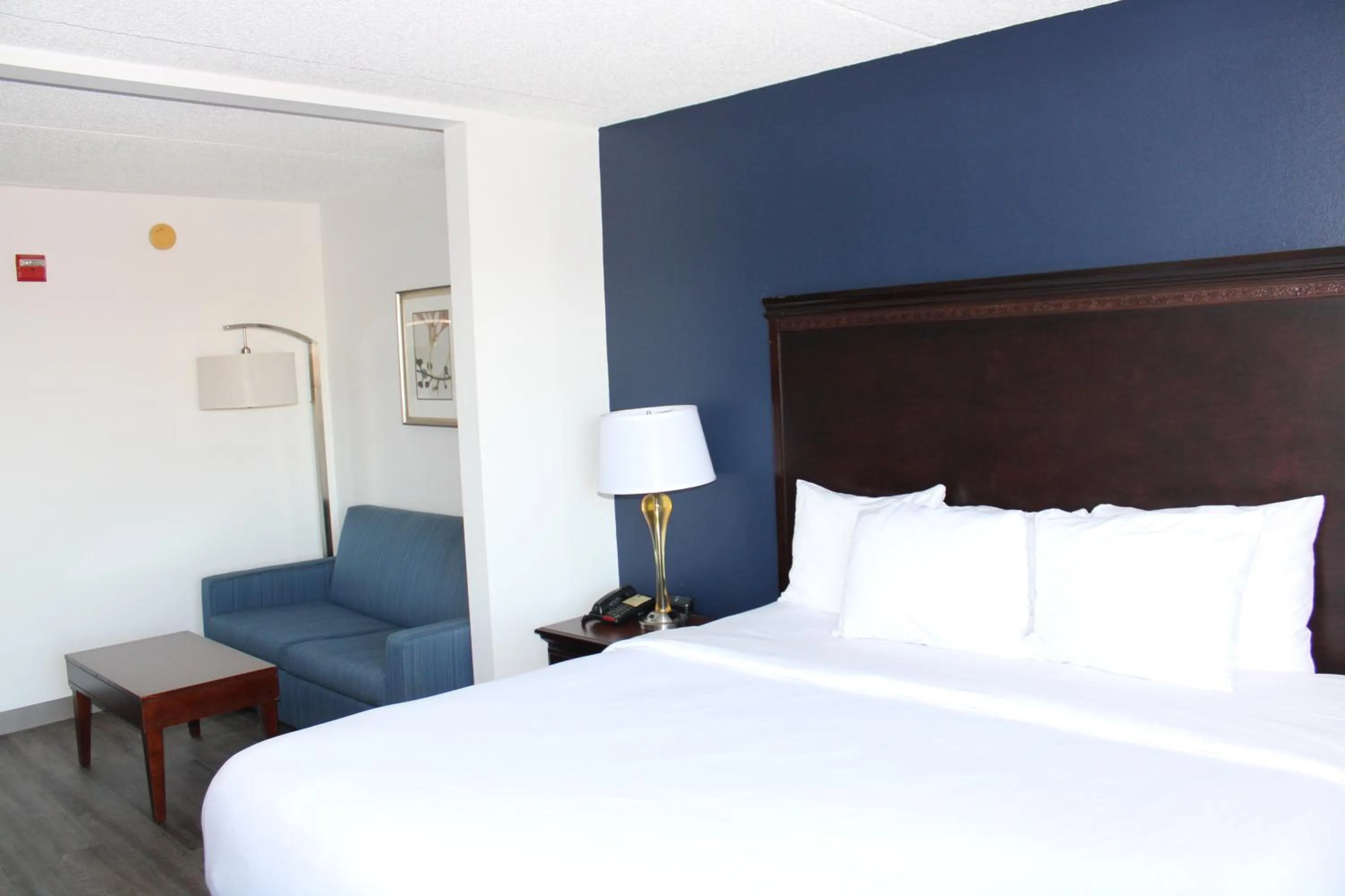 Bedroom, Bed in Comfort Suites Dulles Airport