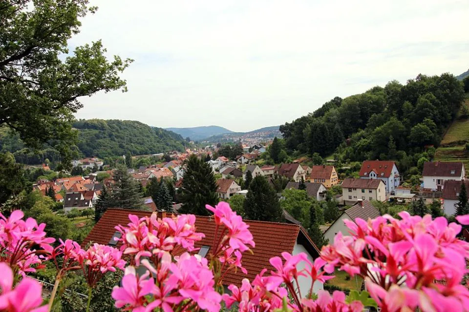 Pension Bergterrasse