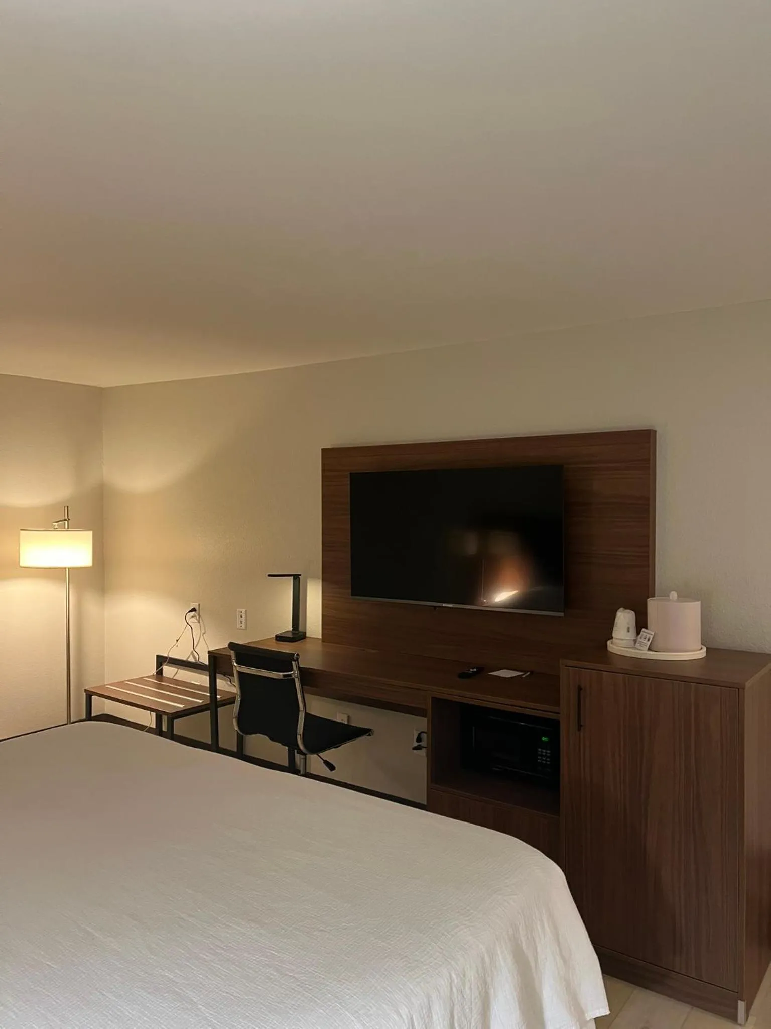 TV and multimedia, Bed in Wingate by Wyndham I-81 Exit 101- Newly Renovated
