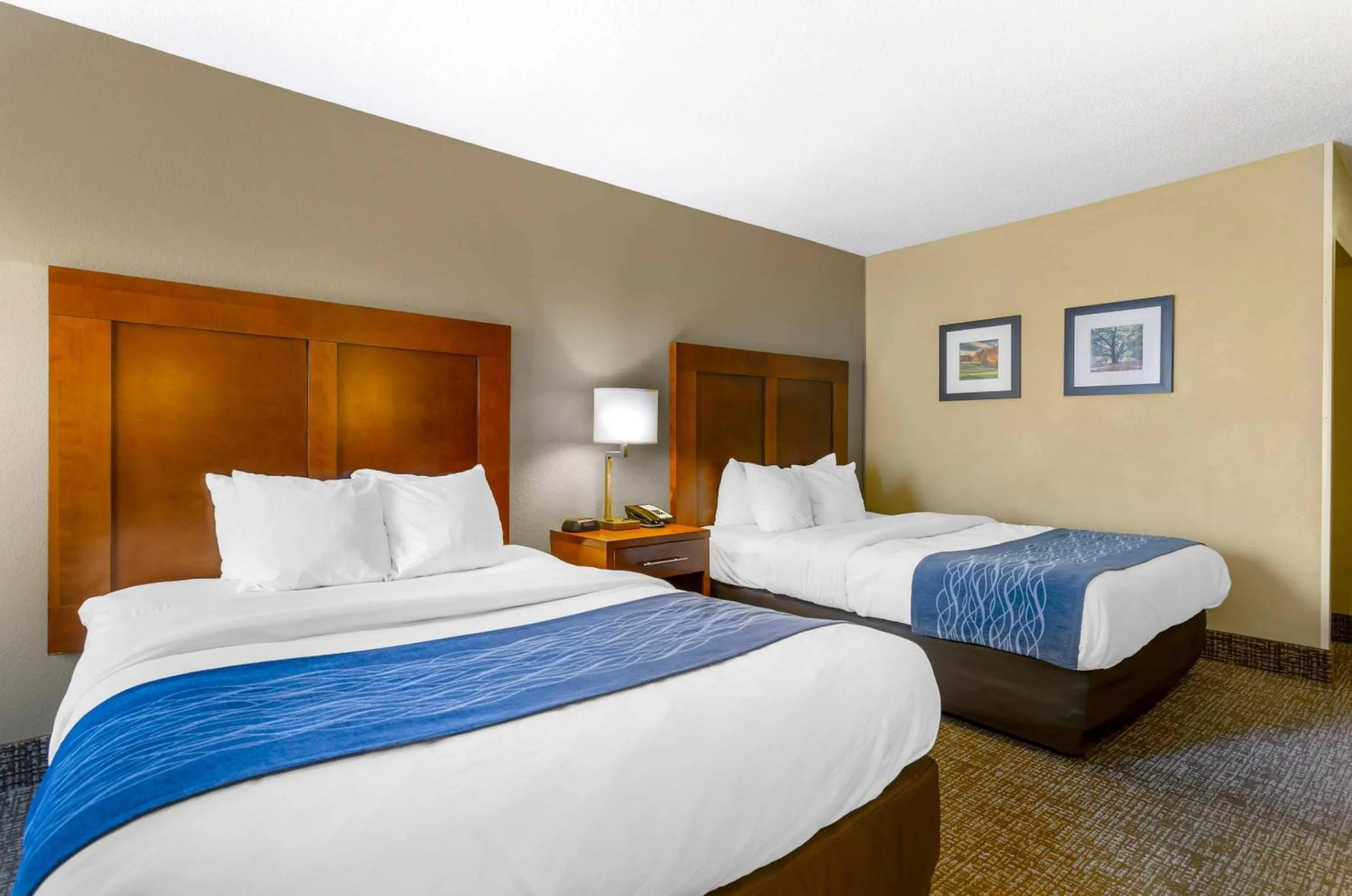 Bedroom, Bed in Comfort Inn & Suites Christiansburg I-81