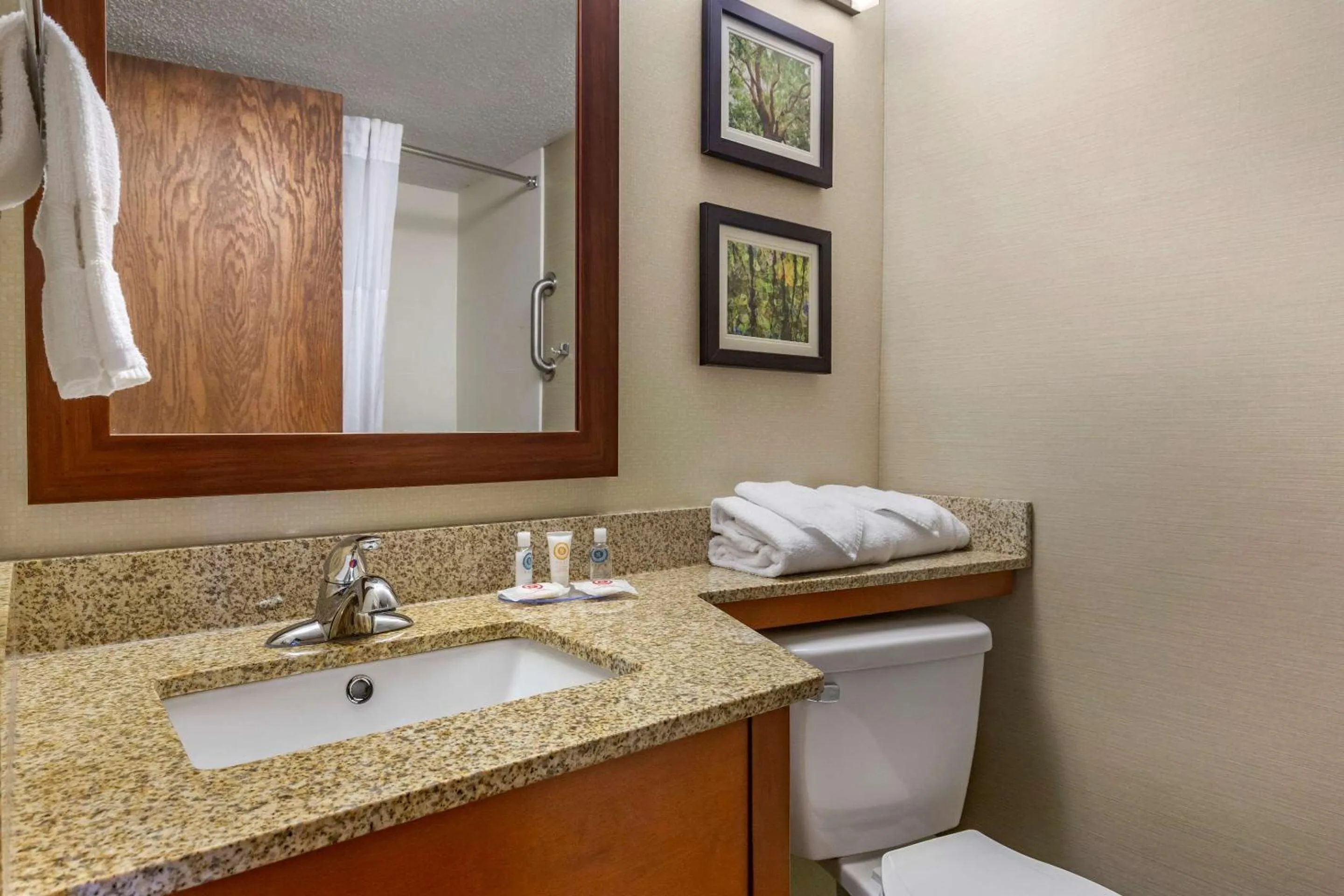 Bathroom in Comfort Inn & Suites near Danville Mall