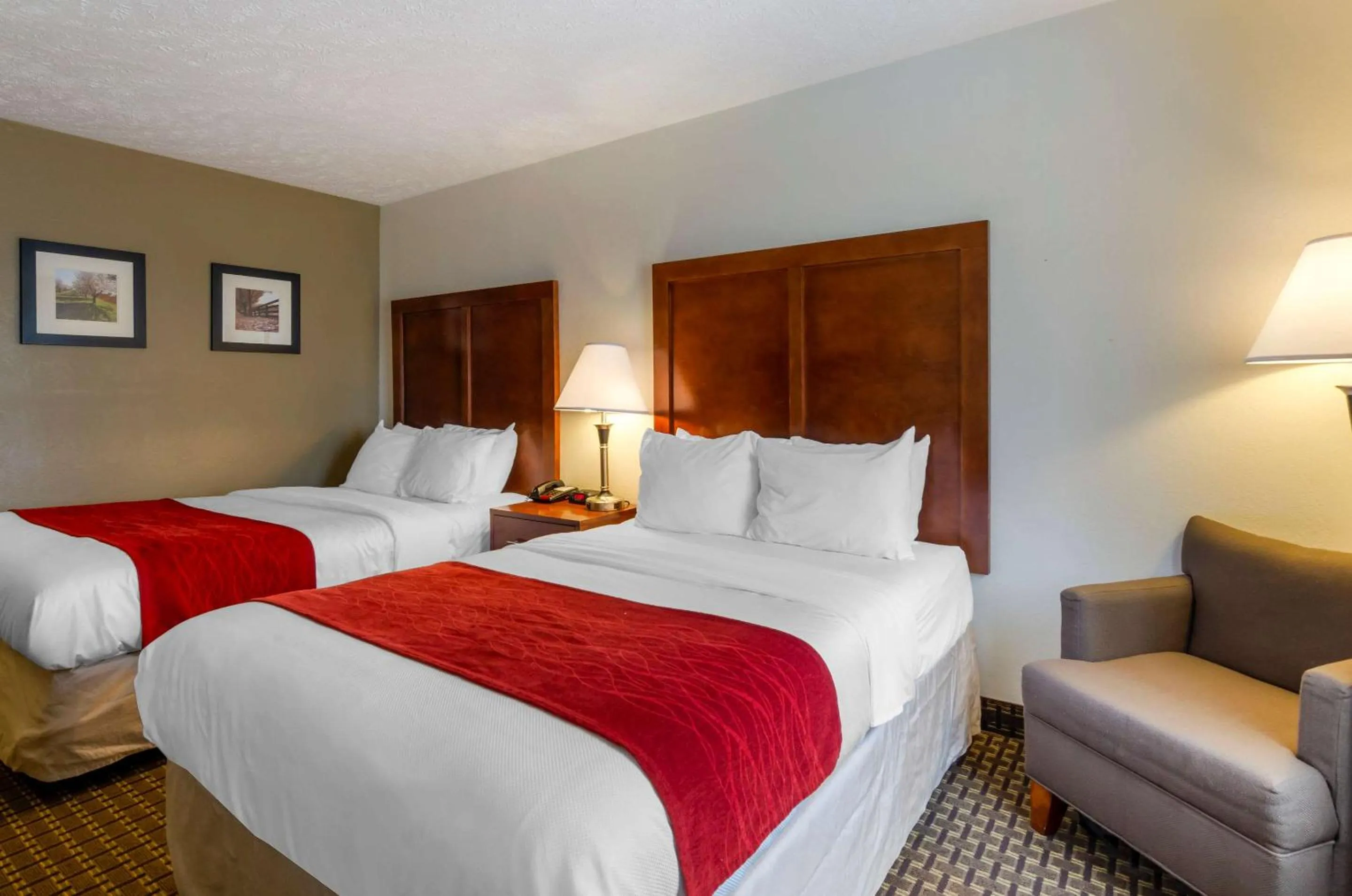 Photo of the whole room, Bed in Comfort Inn Atkins-Marion I-81