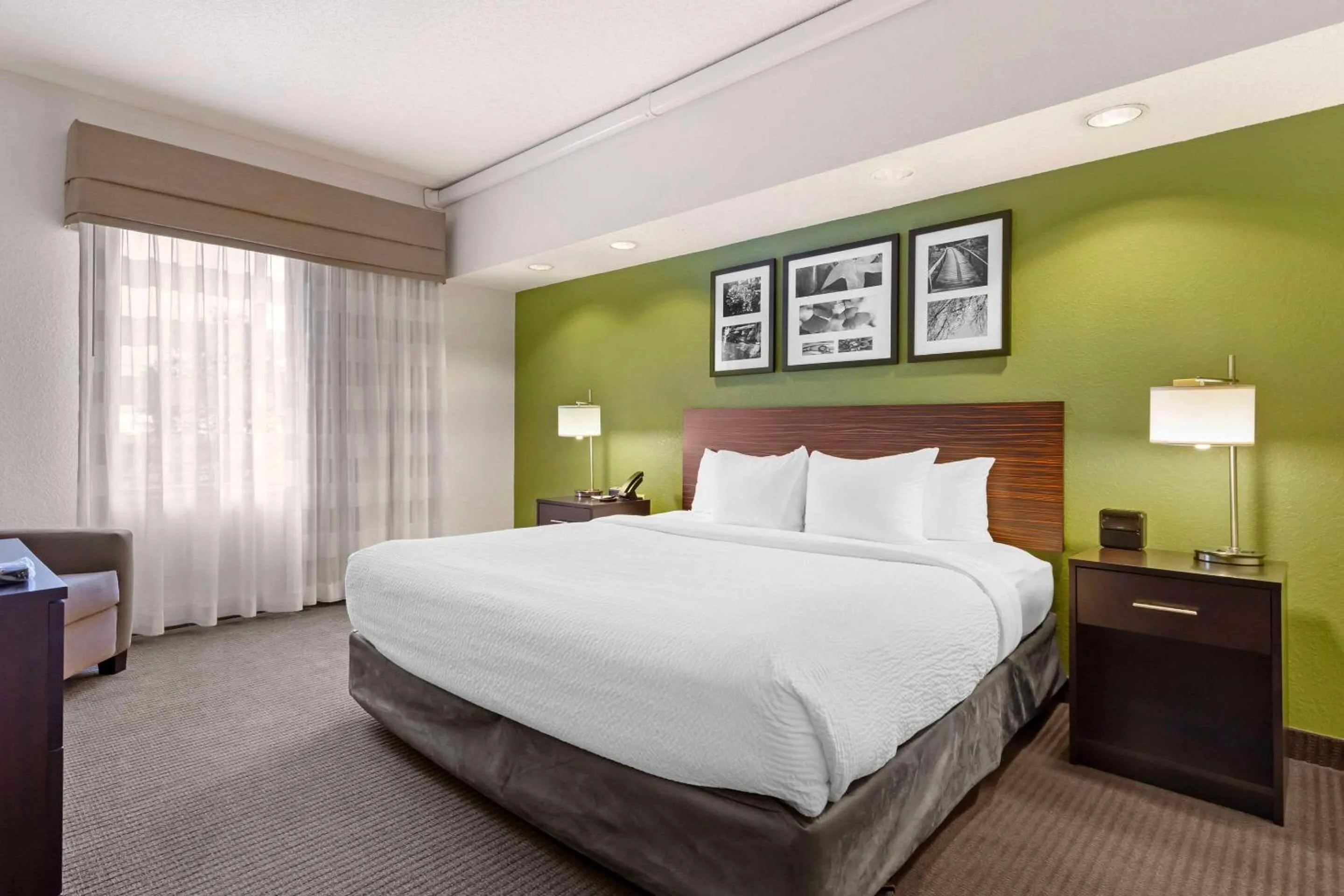 Bedroom, Bed in Sleep Inn & Suites Danville Hwy 58