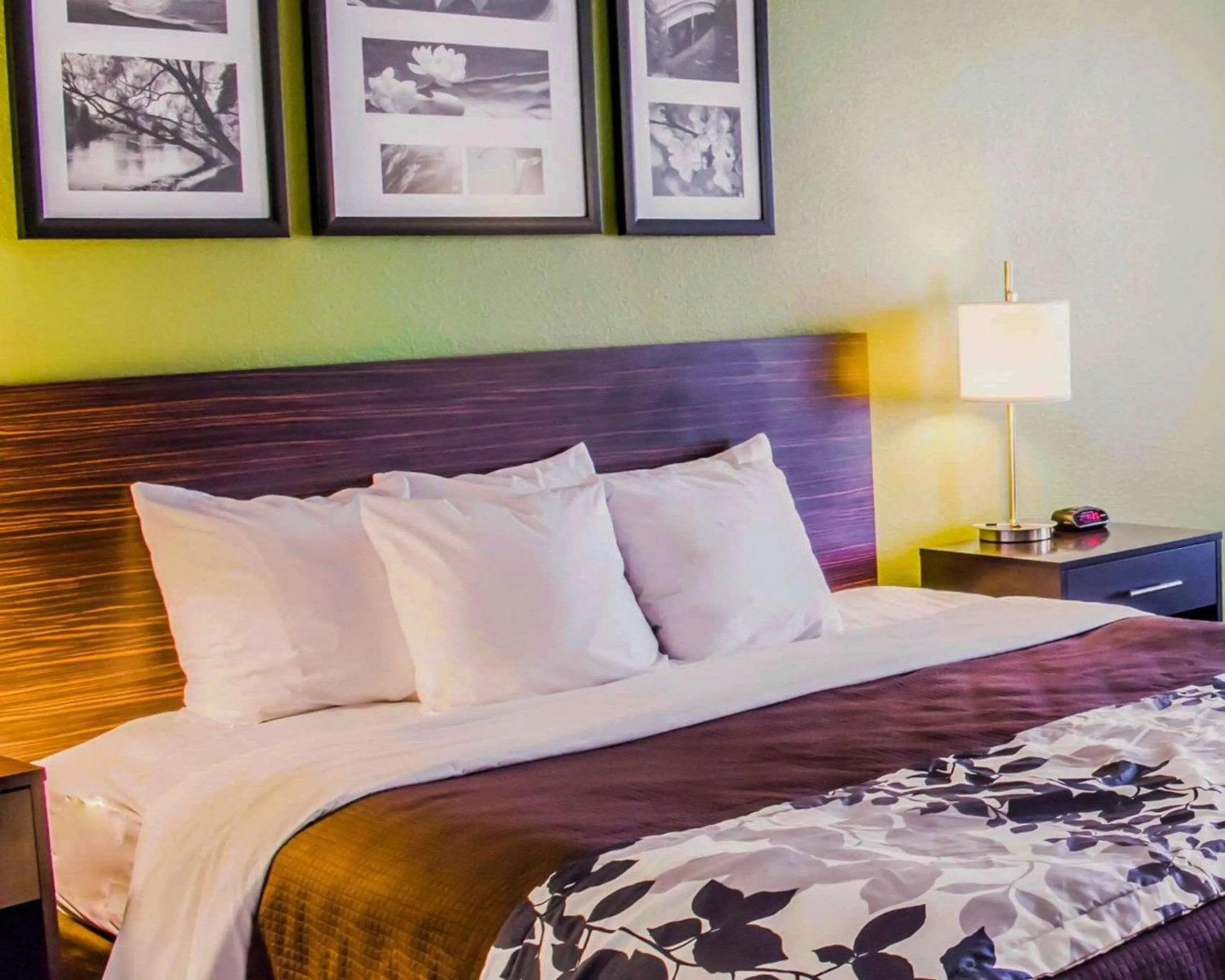 Bedroom, Bed in Sleep Inn & Suites Virginia Horse Center