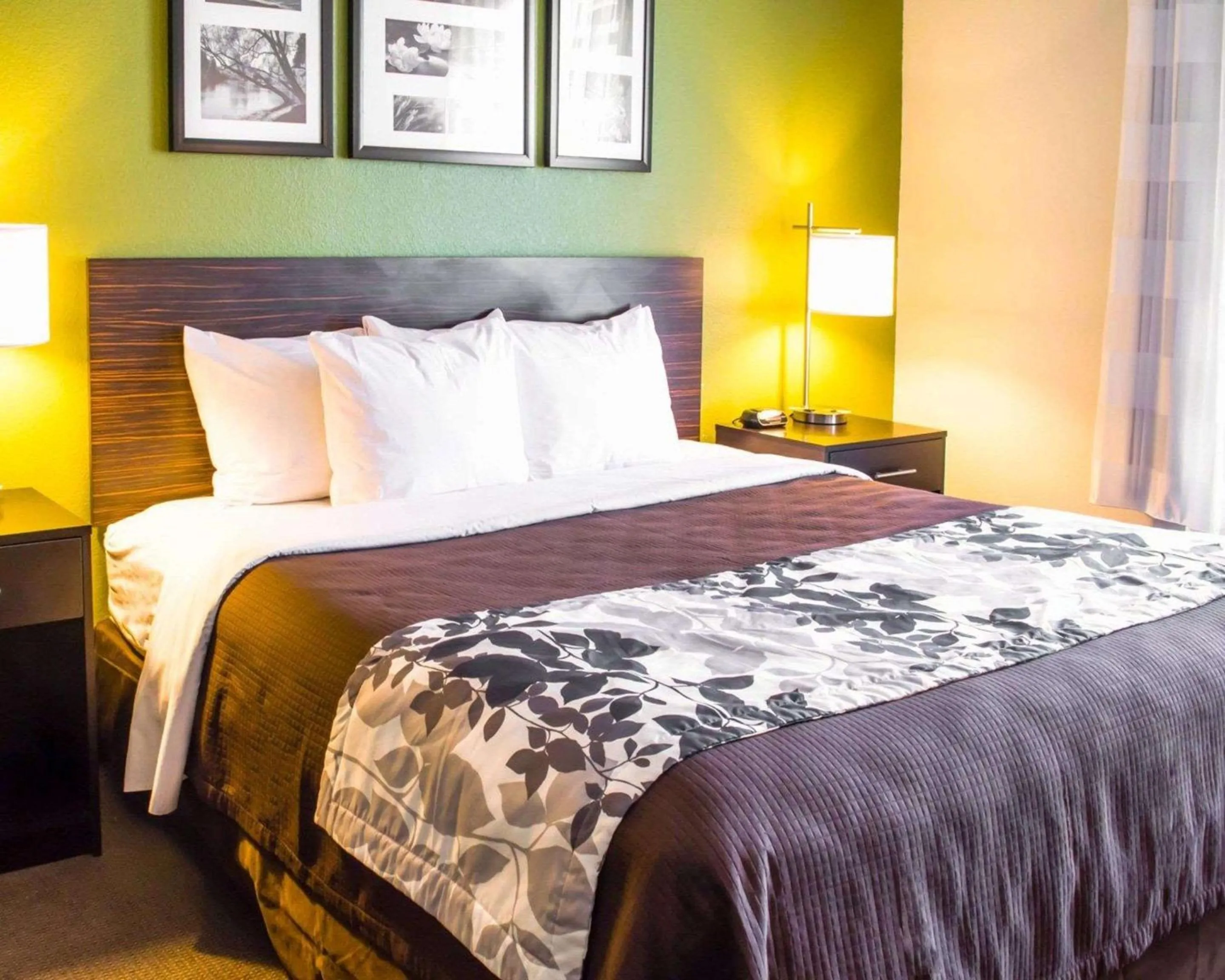 Bedroom, Bed in Sleep Inn & Suites Virginia Horse Center