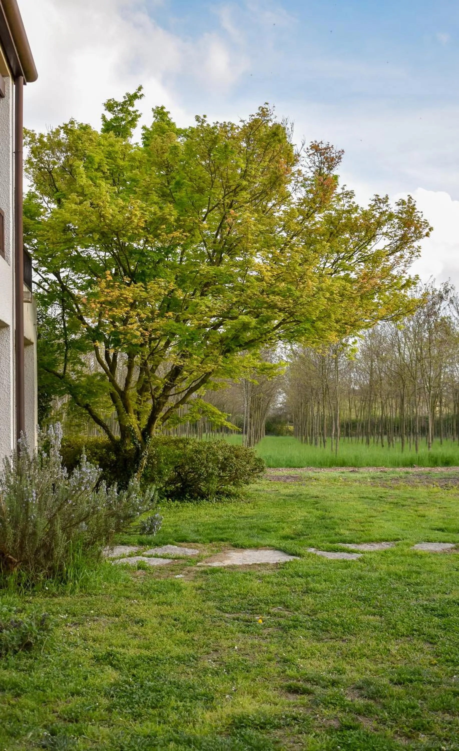 View (from property/room) in B&B Villa Elisa