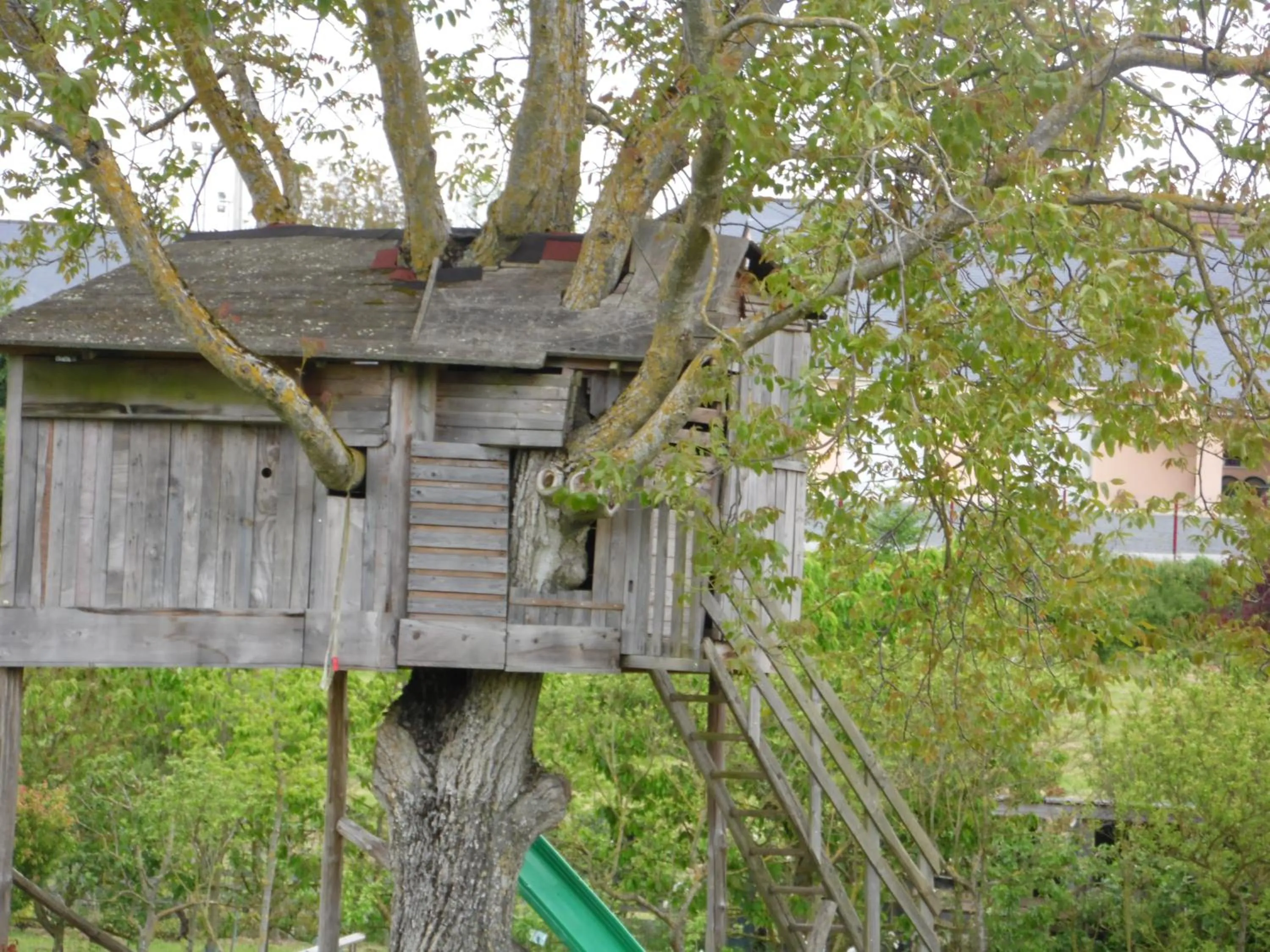 Garden view in AU PARFUM DES LAVANDES