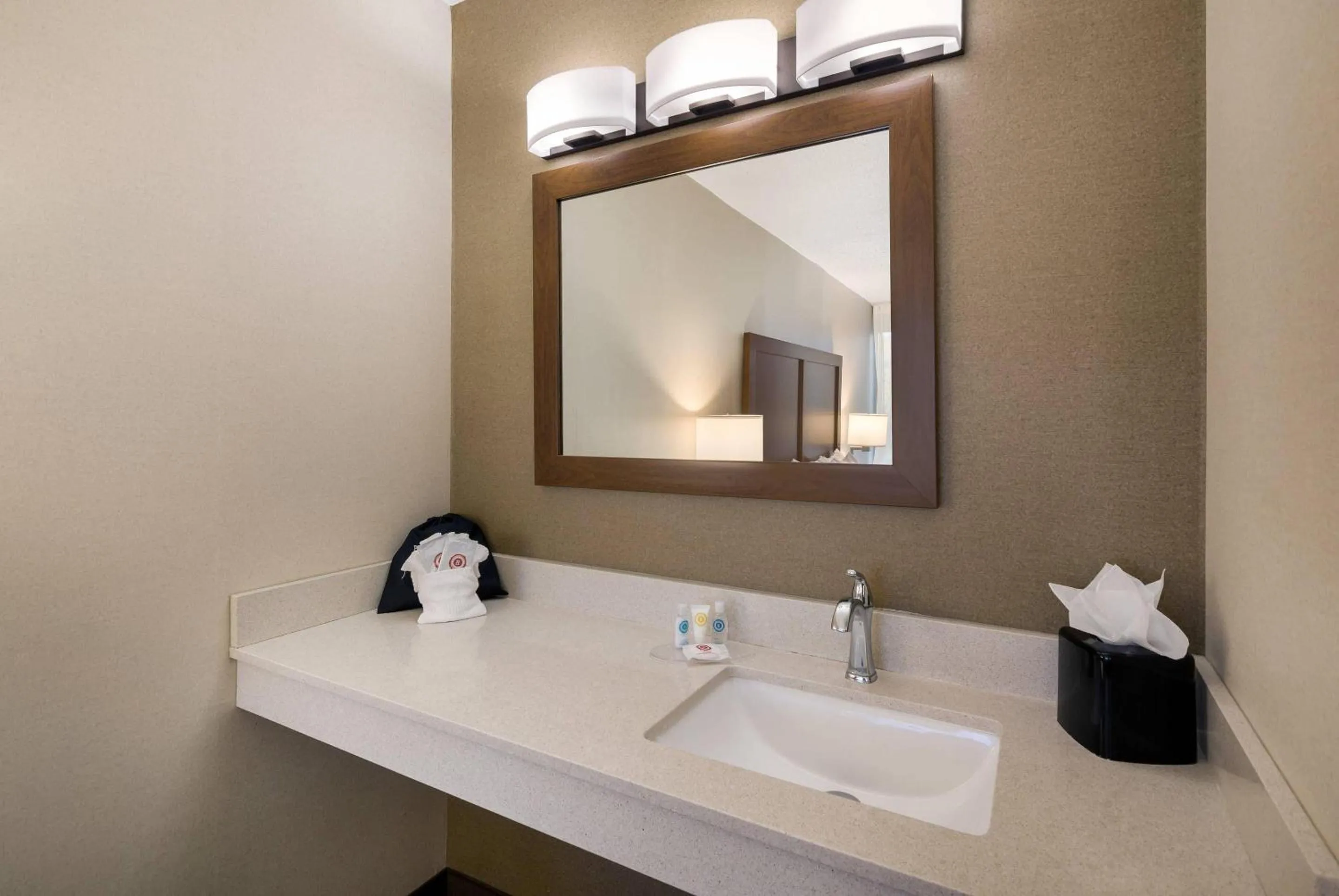 Bedroom in Comfort Inn Lexington Virginia Horse Center