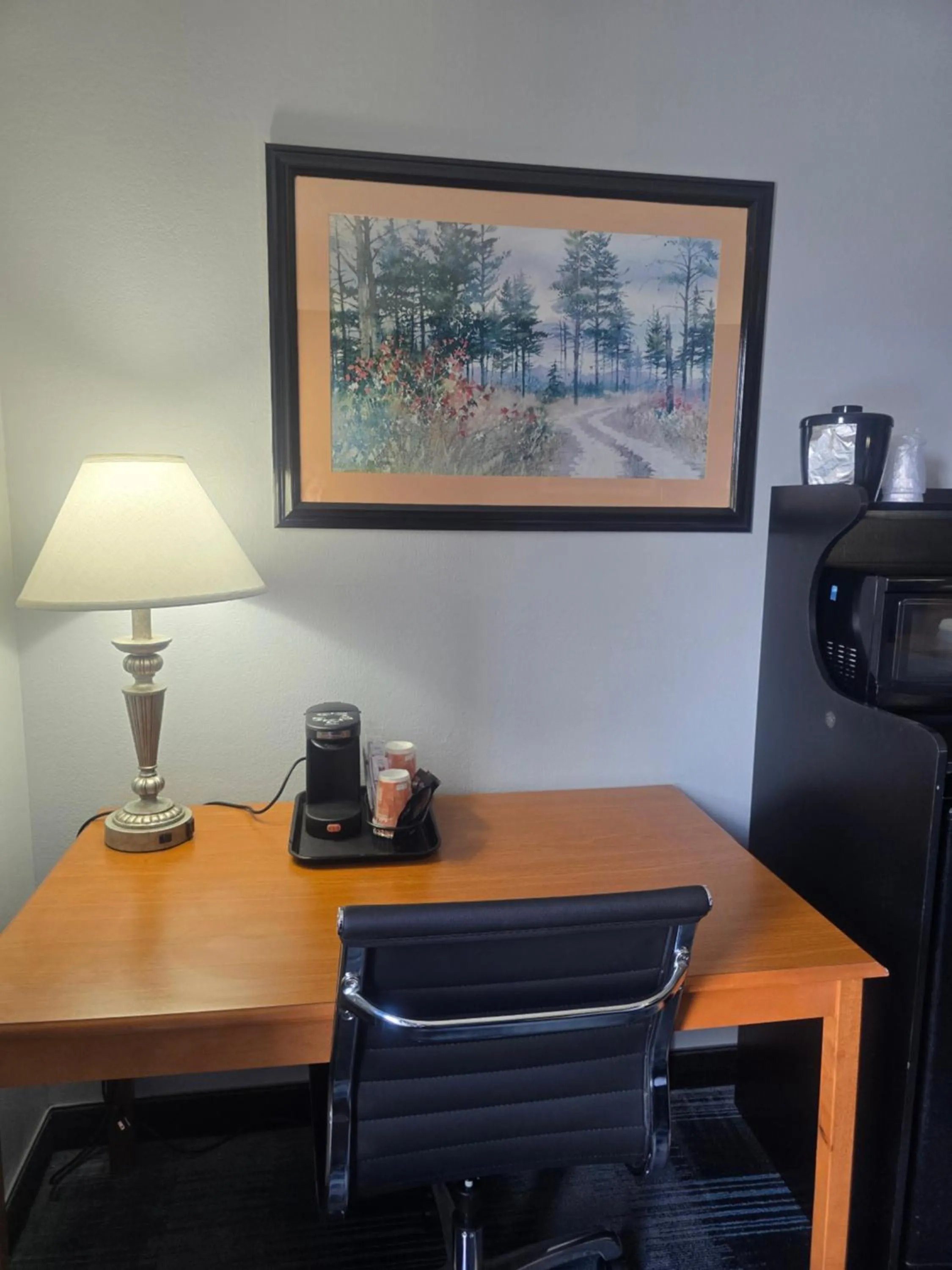 Coffee/tea facilities in Quality Inn Dublin I-81