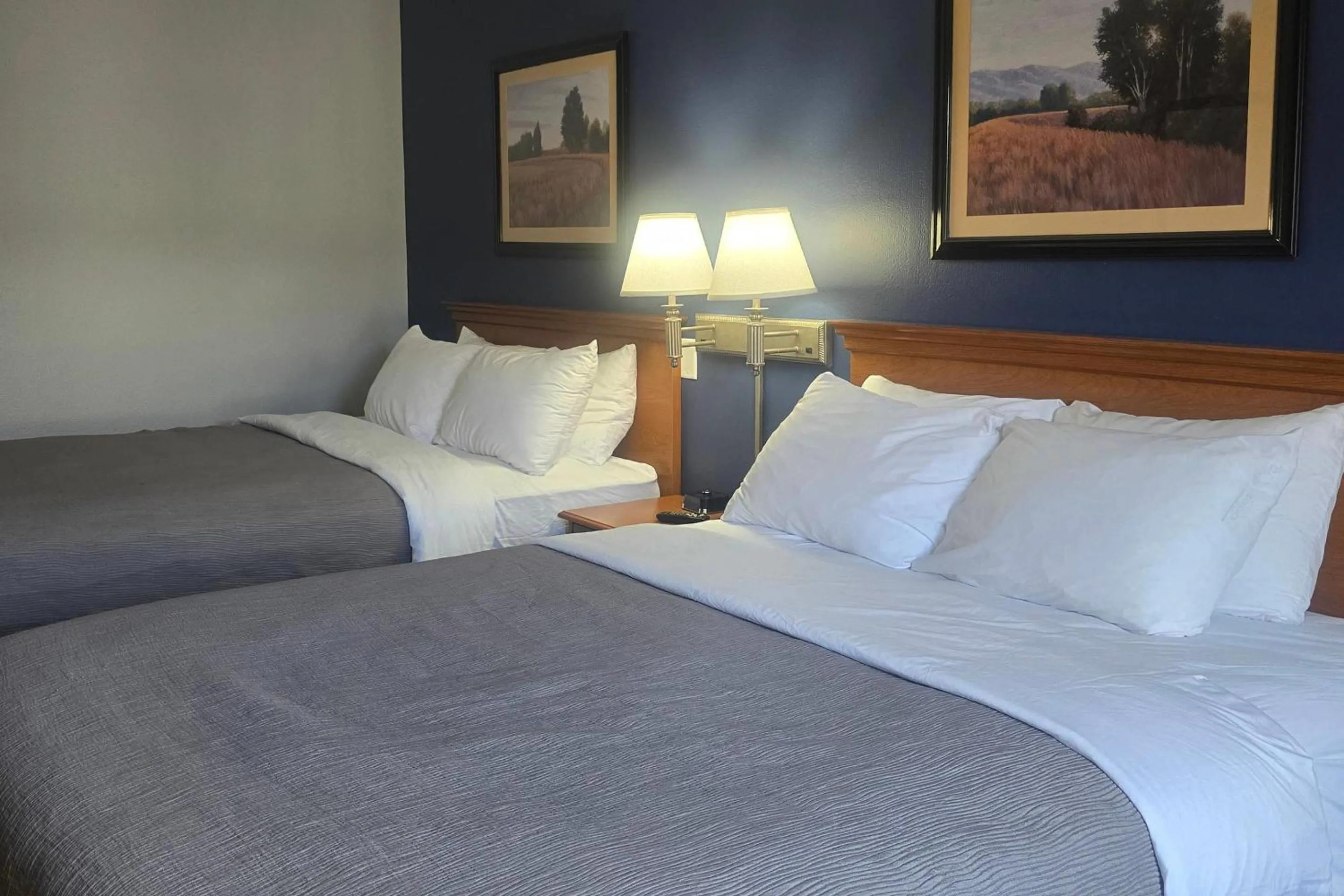 Bedroom, Bed in Quality Inn Dublin I-81