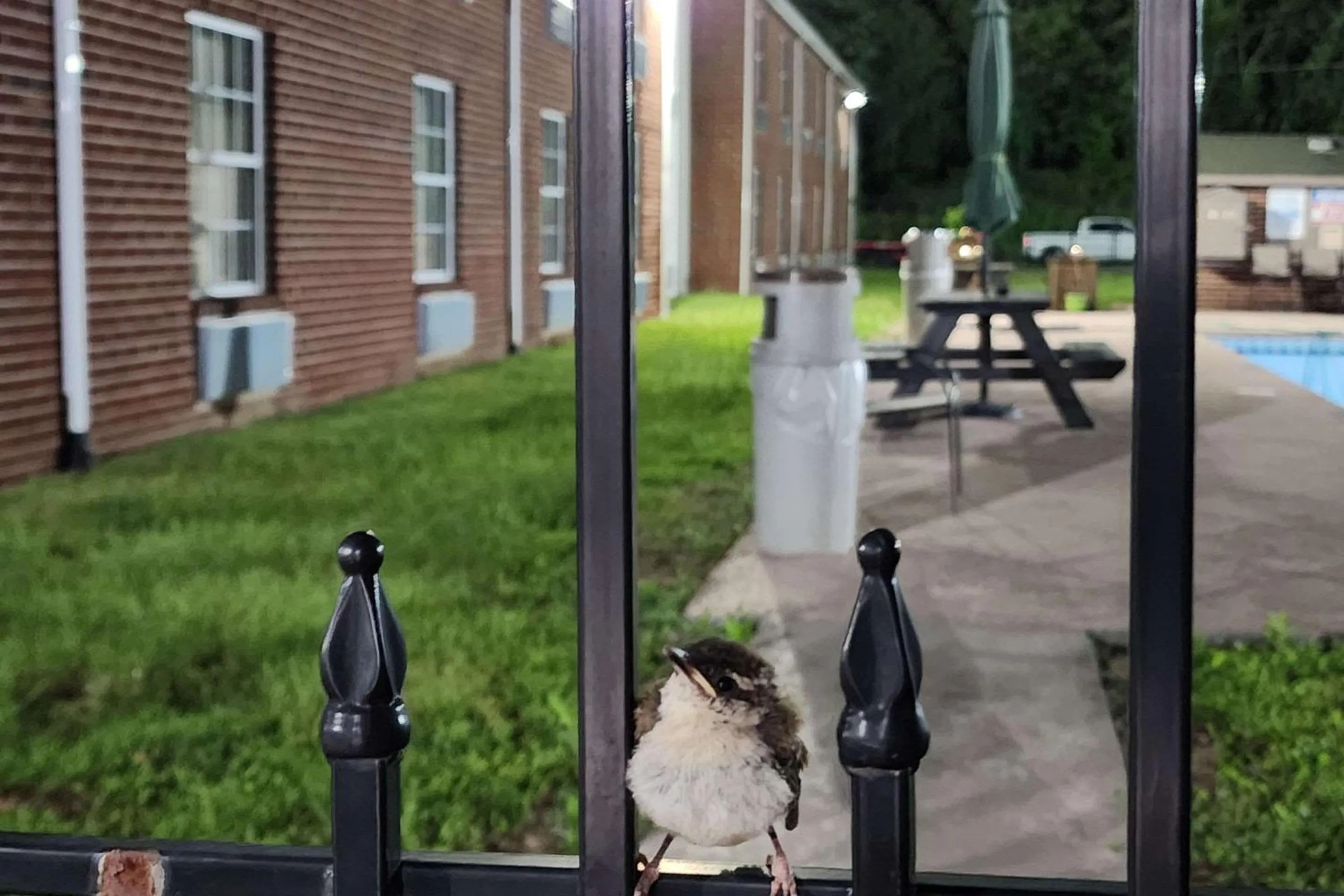 Natural landscape in Quality Inn Dublin I-81