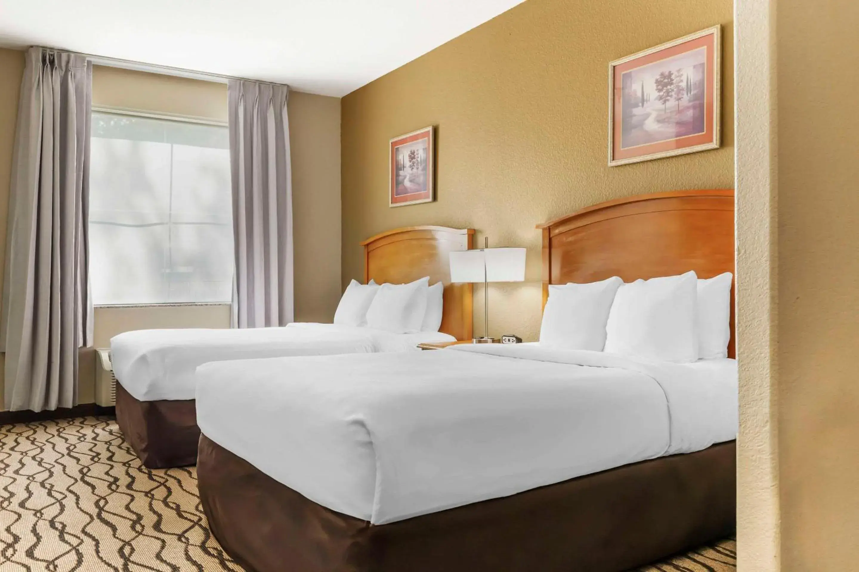 Queen Room with Two Queen Beds - Accessible/Non-Smoking in Comfort Inn & Suites Chesapeake - Portsmouth Queen Room with Two Queen Beds - Accessible/Non-Smoking in Comfort Inn & Suites Chesapeake - Portsmouth