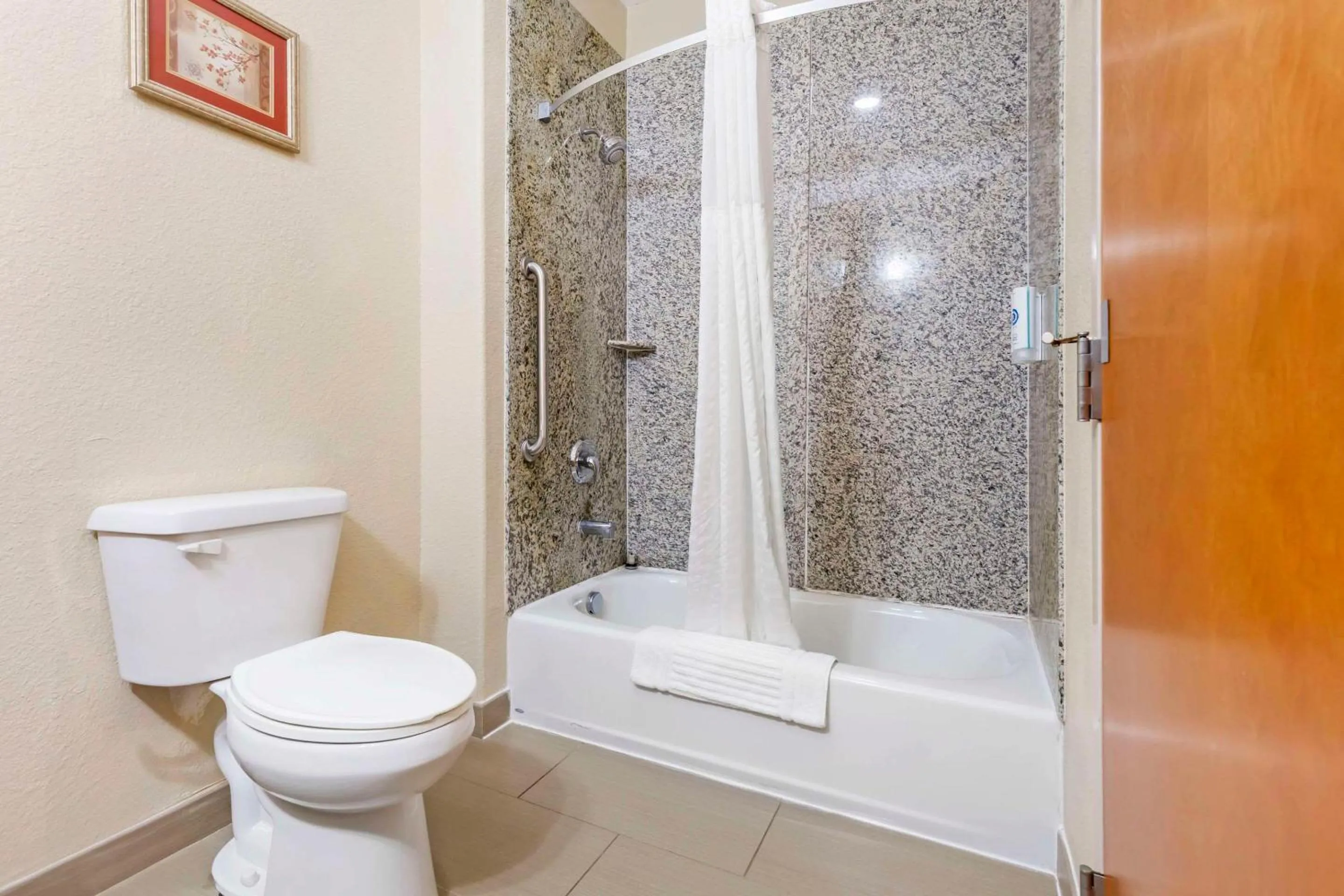 Shower in Comfort Inn & Suites Chesapeake - Portsmouth