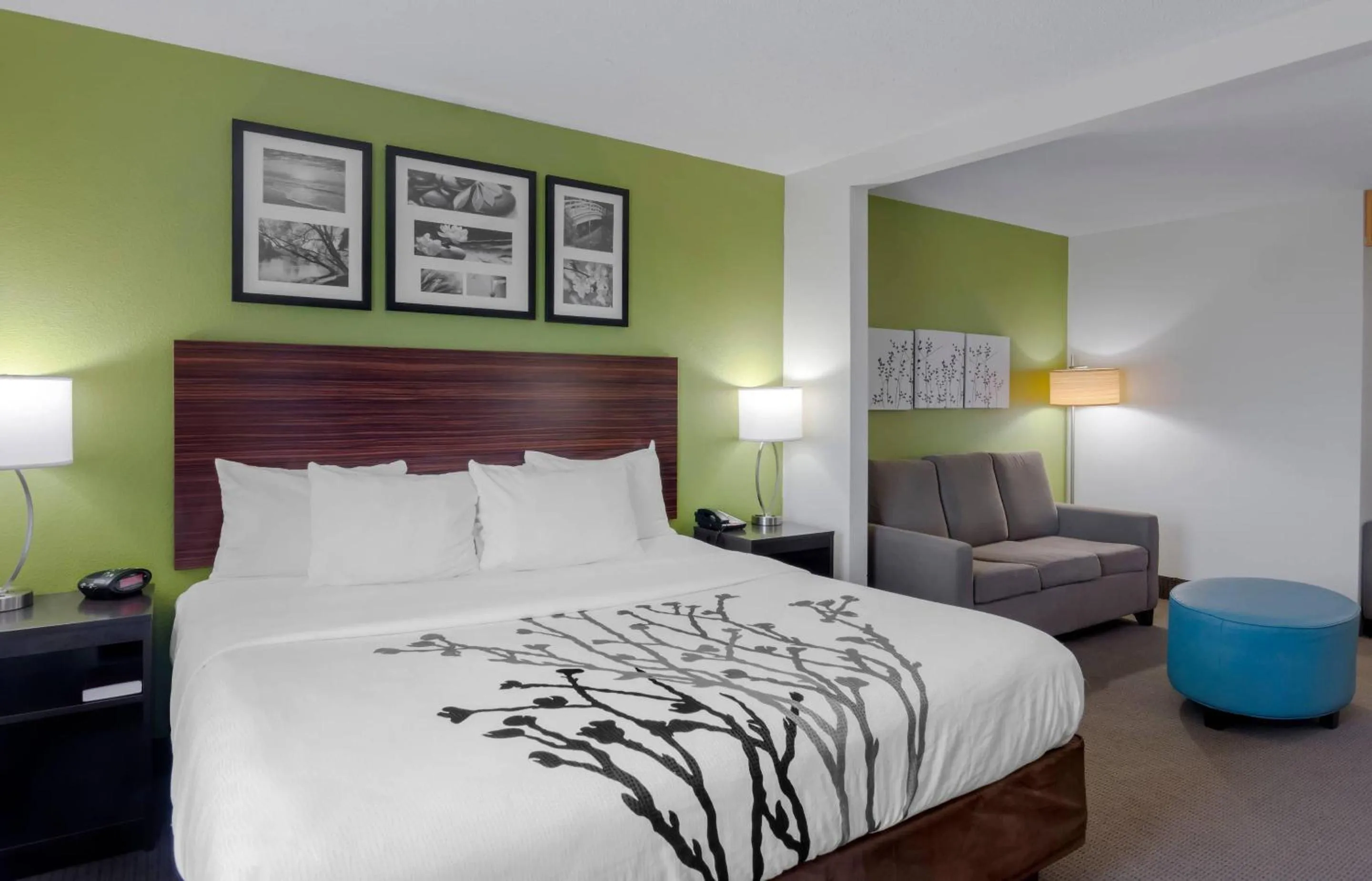 Bedroom, Bed in Sleep Inn & Suites Prince George near Fort Lee