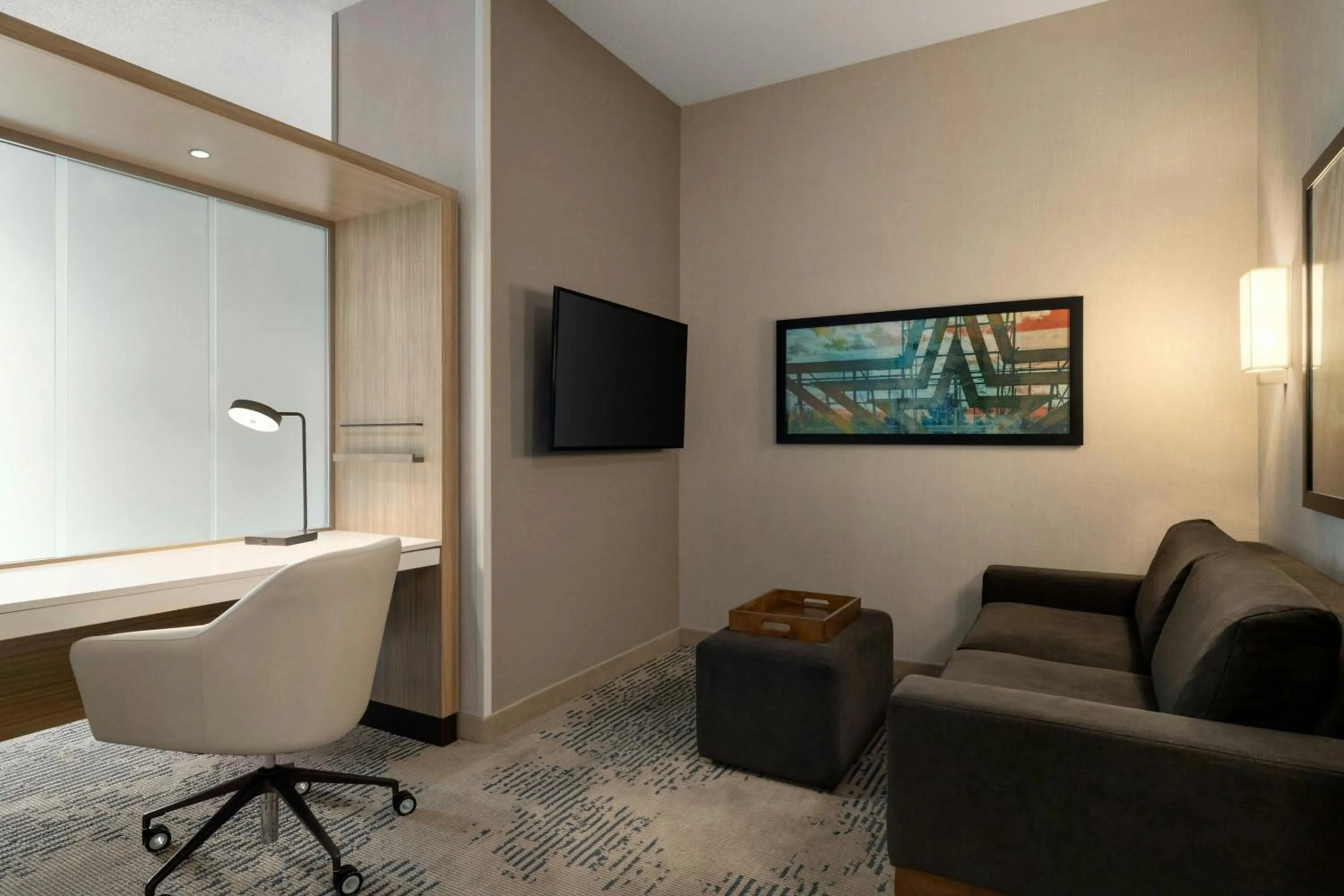 Photo of the whole room in SpringHill Suites by Marriott Roanoke