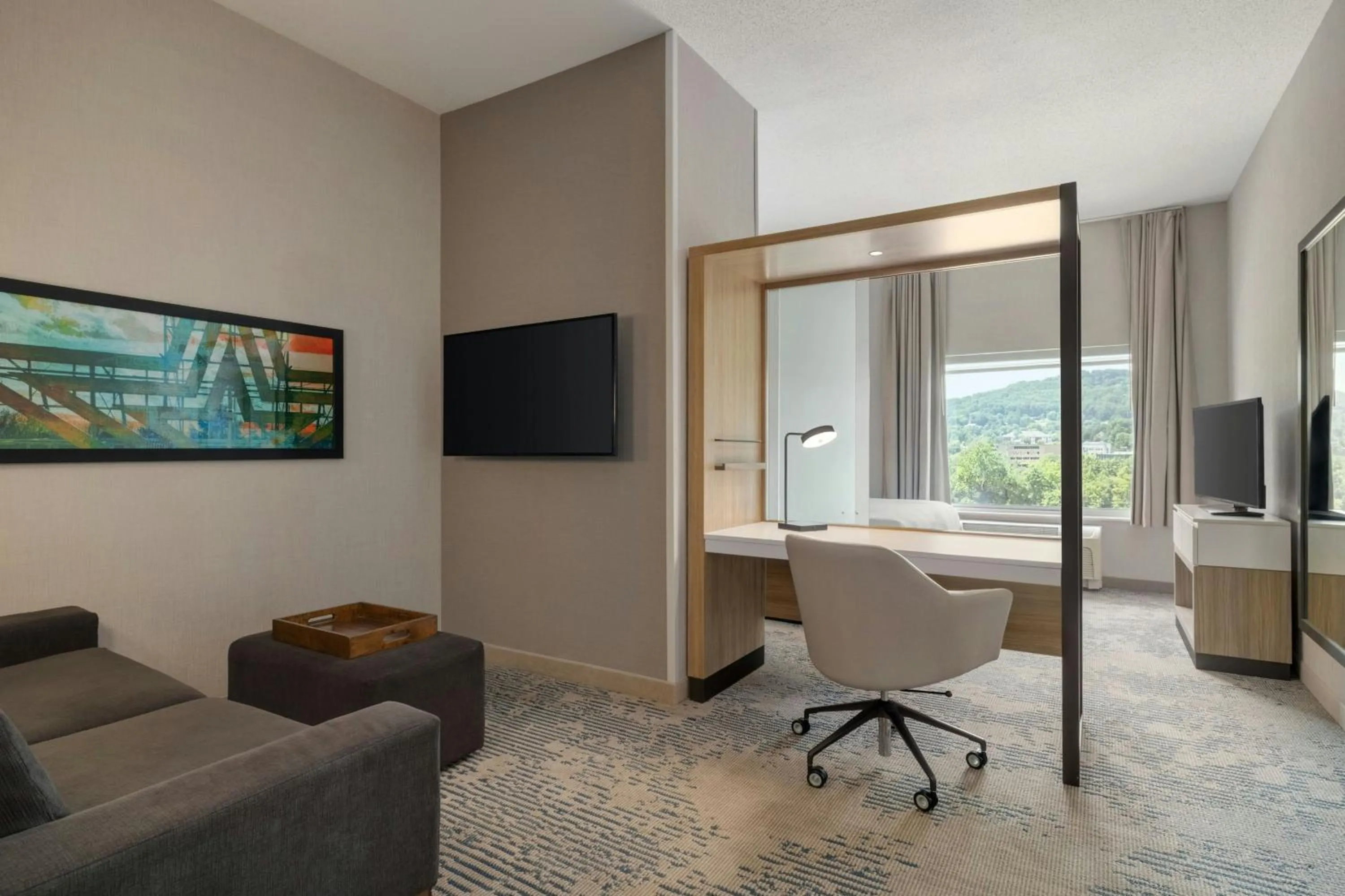 Photo of the whole room in SpringHill Suites by Marriott Roanoke