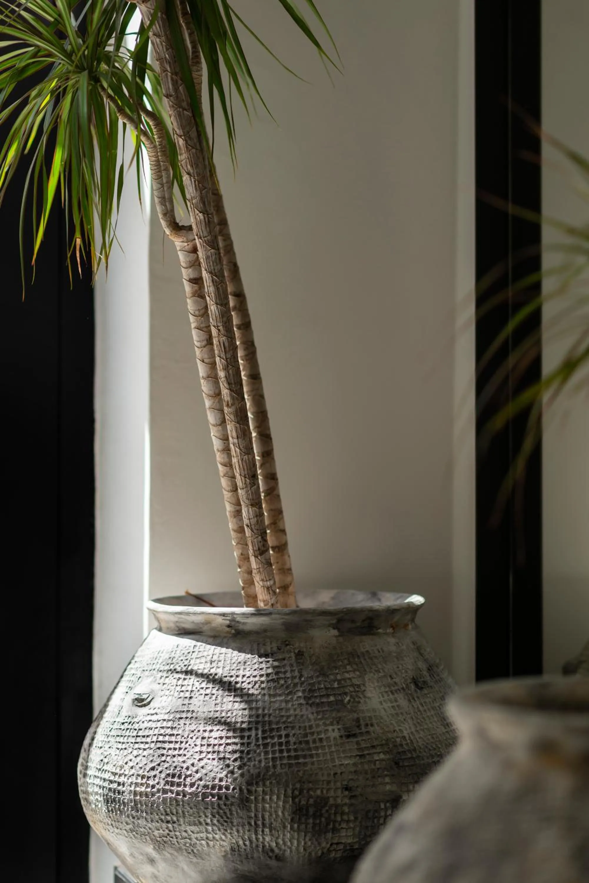 Lobby or reception in Blanq Comedias