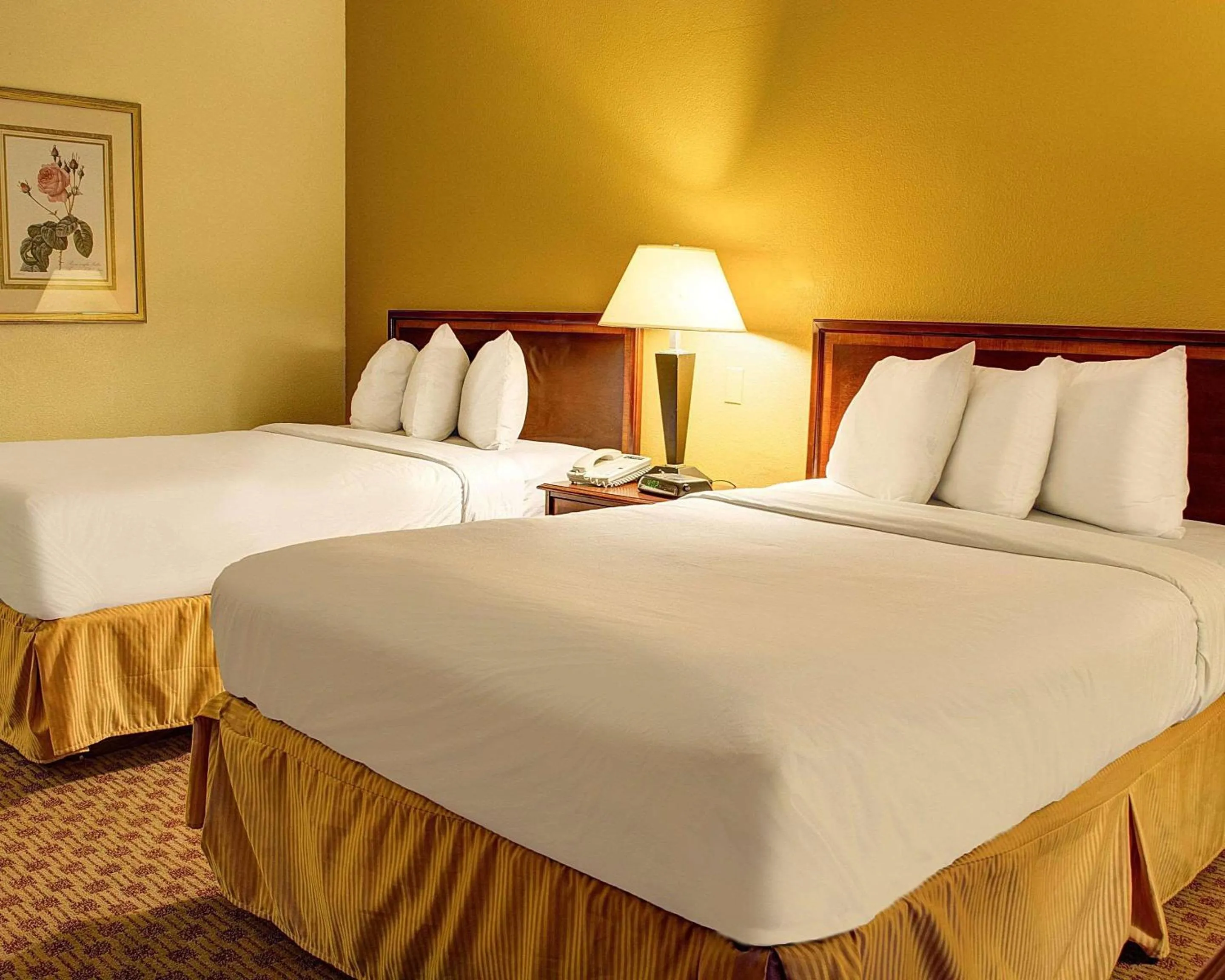 Photo of the whole room, Bed in Quality Inn Richmond North