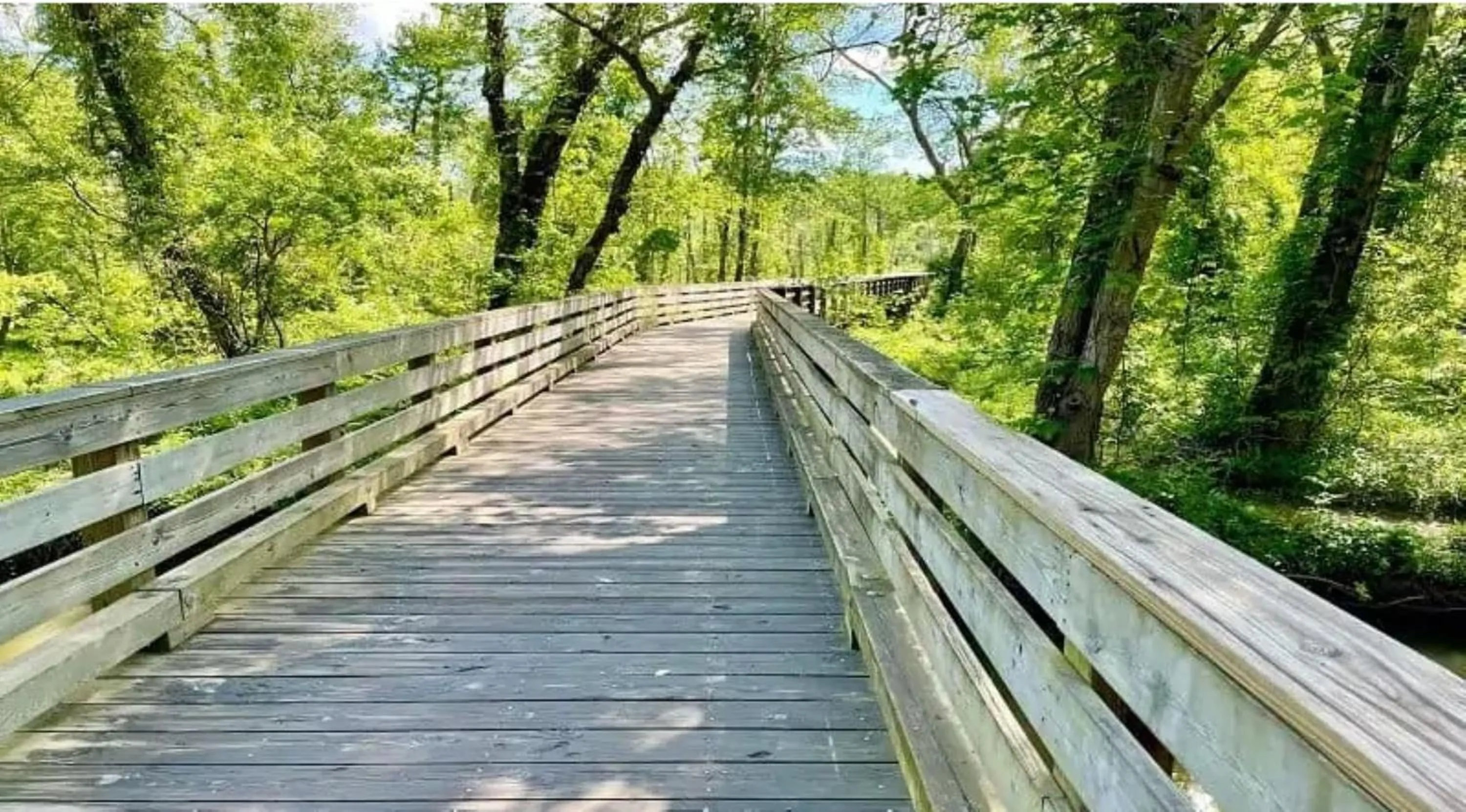 Nearby landmark in Stafford Suites by IHG