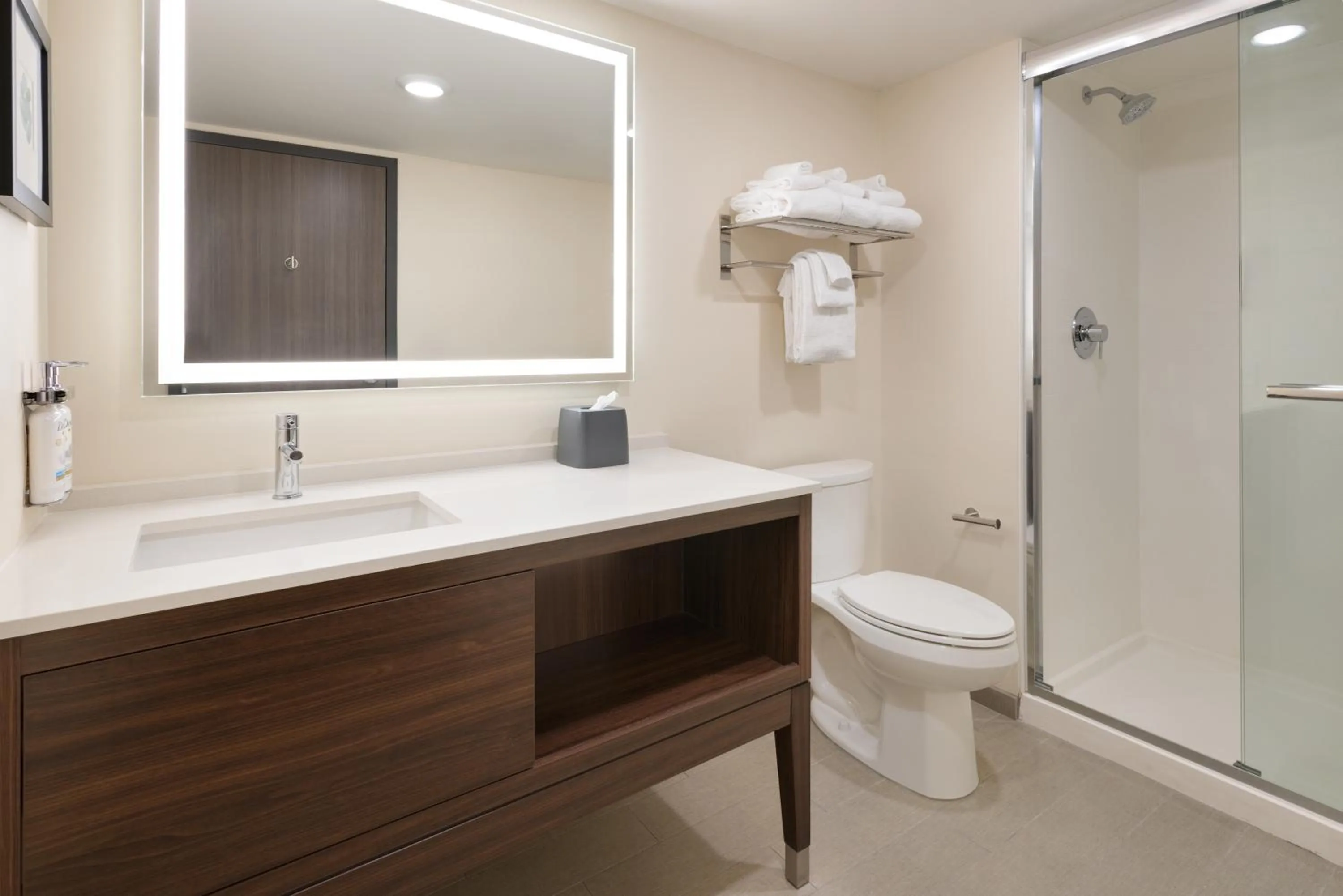 Shower in Holiday Inn & Suites Richmond West End by IHG