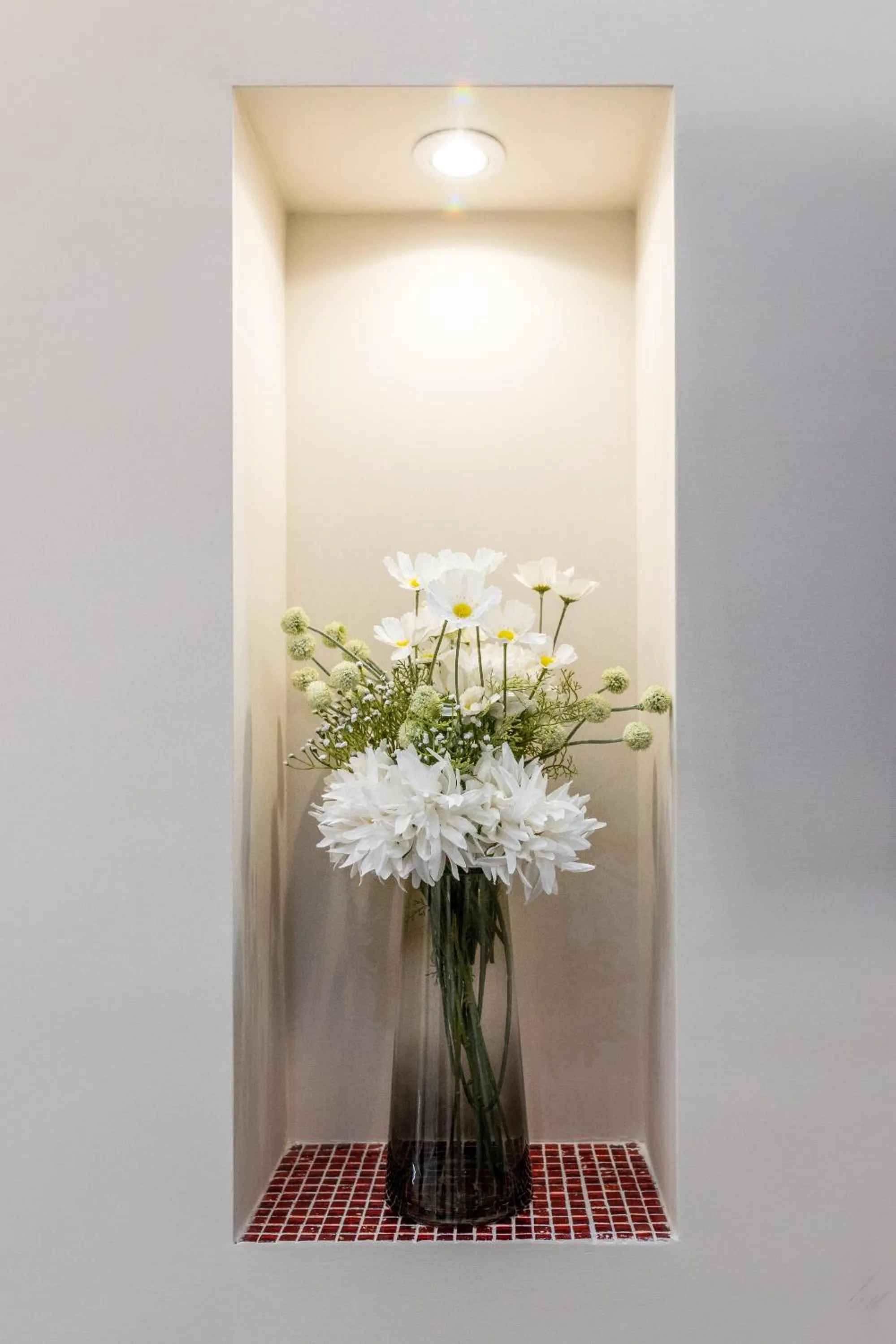 Zeus Inn - Una finestra sul Vaticano