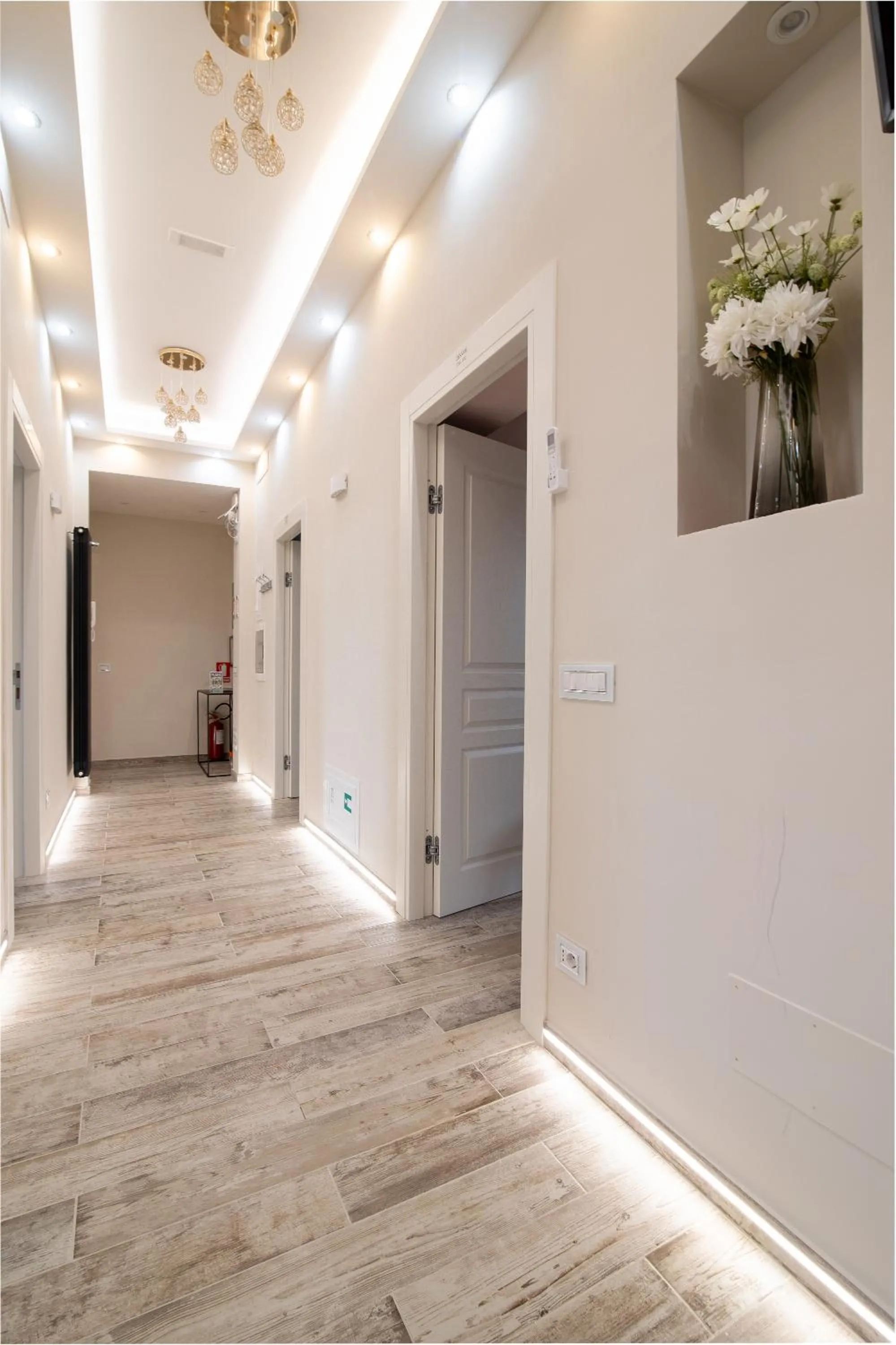 Zeus Inn - Una finestra sul Vaticano