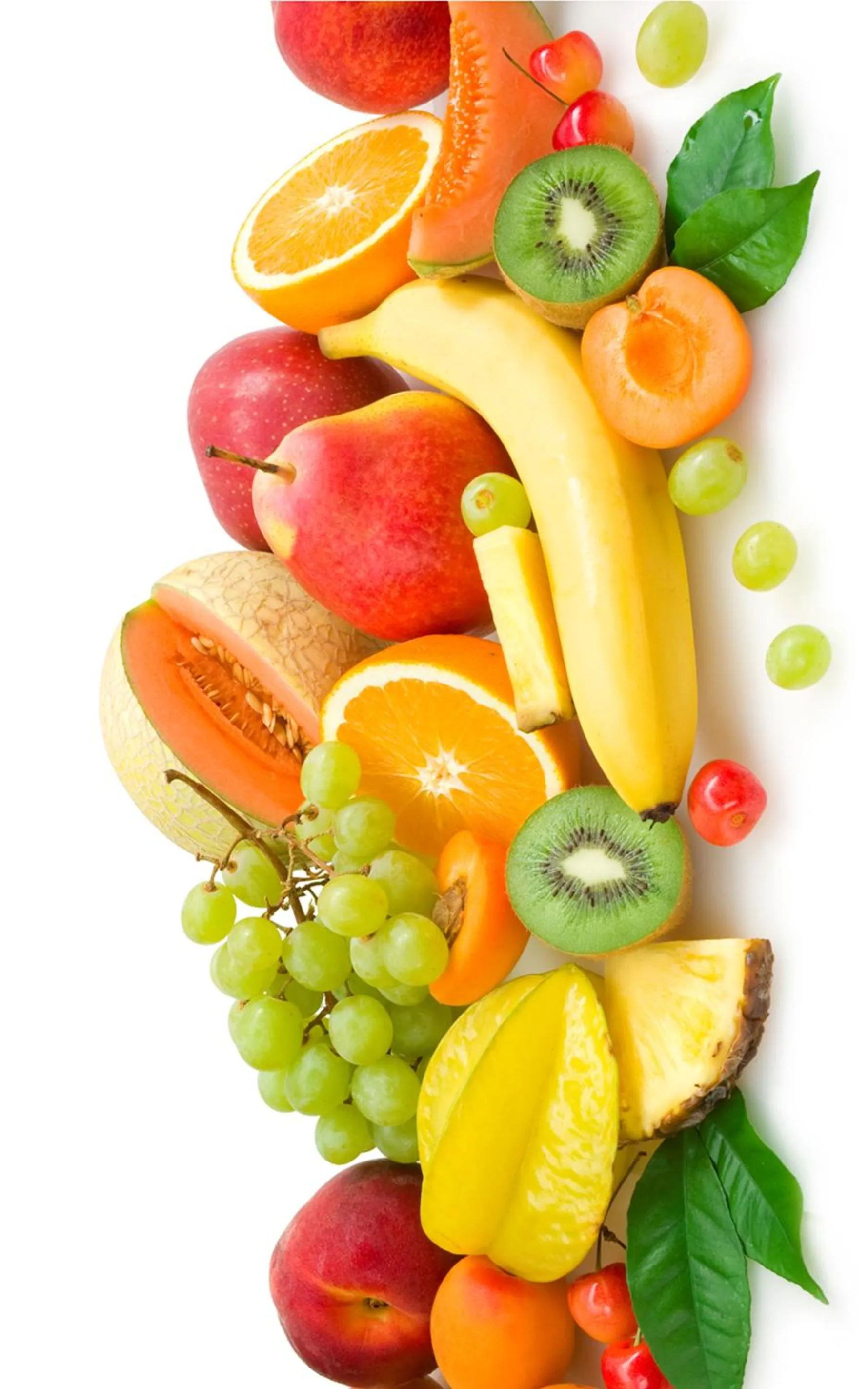 Breakfast in Zeus Inn - Una finestra sul Vaticano