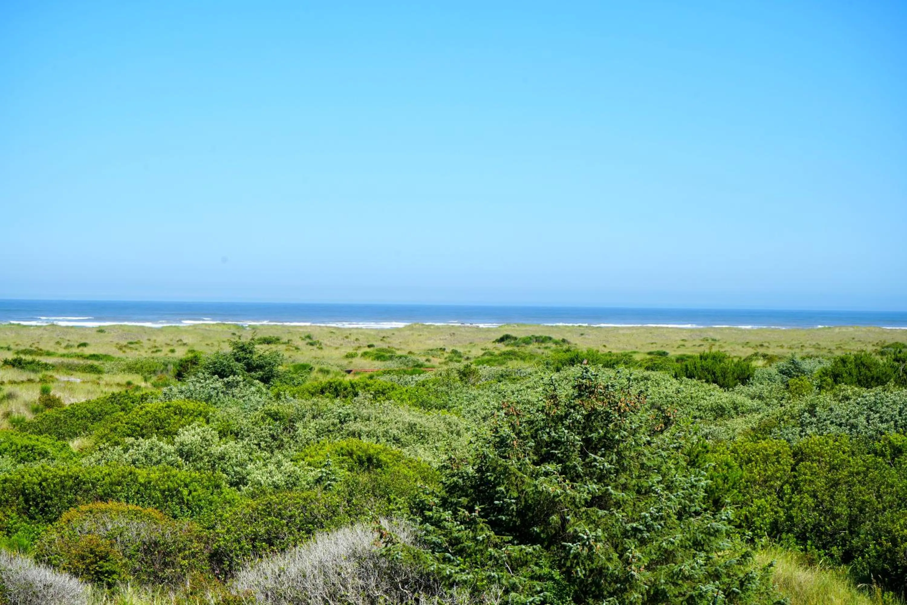 Ocean Paradise Hotel & Resort