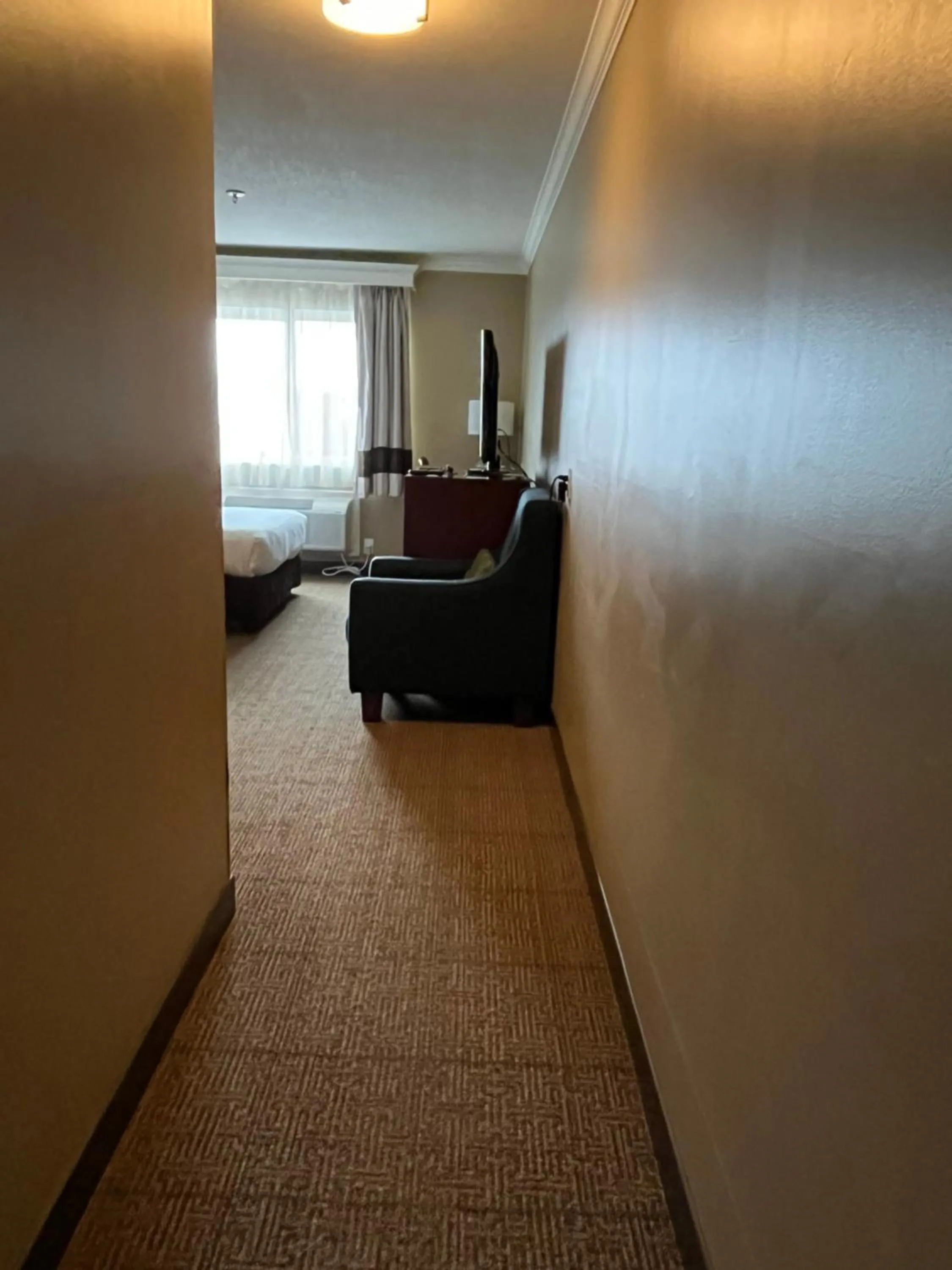 Seating area, Bed in Comfort Inn & Suites Ocean Shores