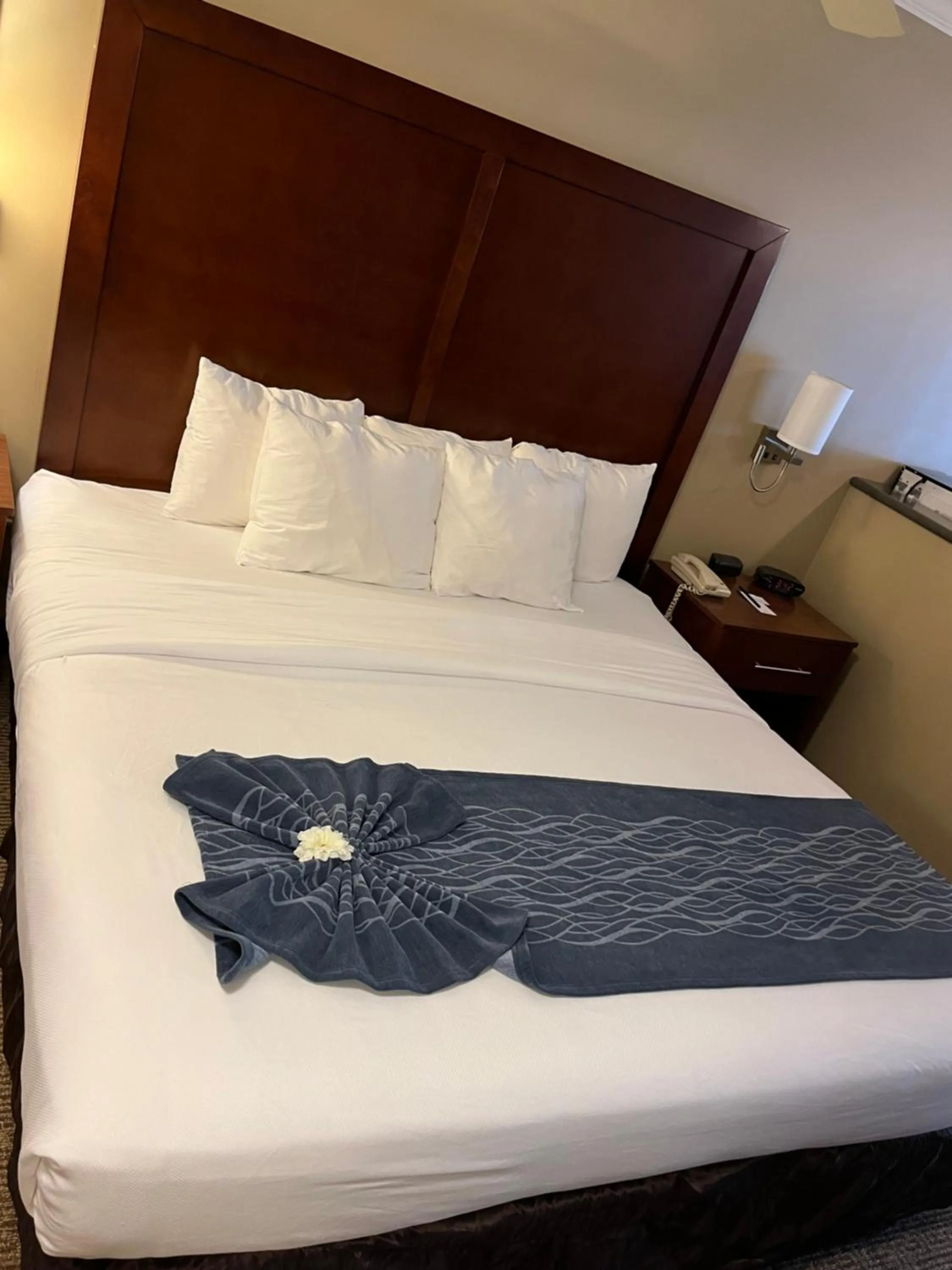 Bed in Comfort Inn & Suites Ocean Shores