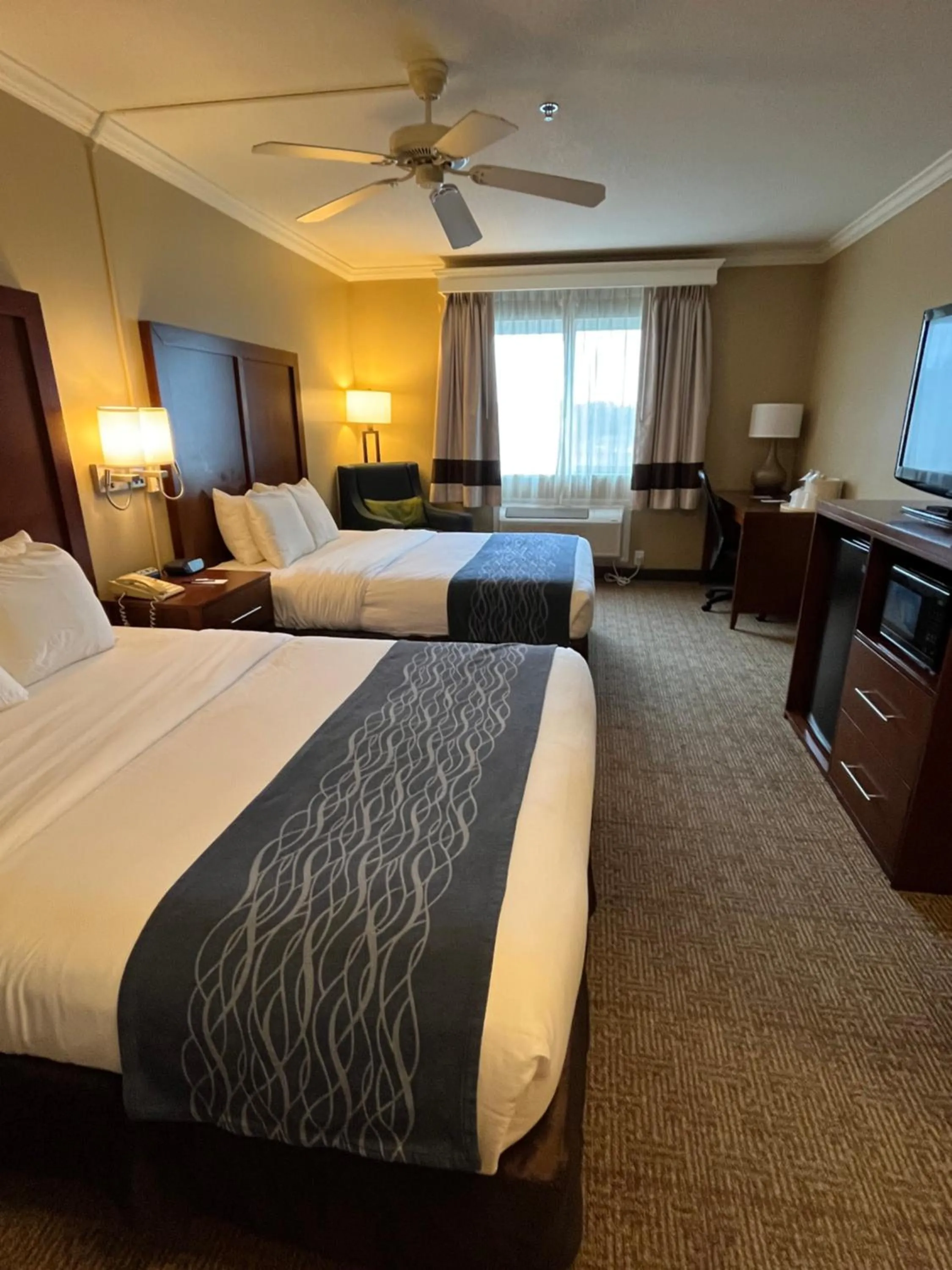 Bedroom, Bed in Comfort Inn & Suites Ocean Shores