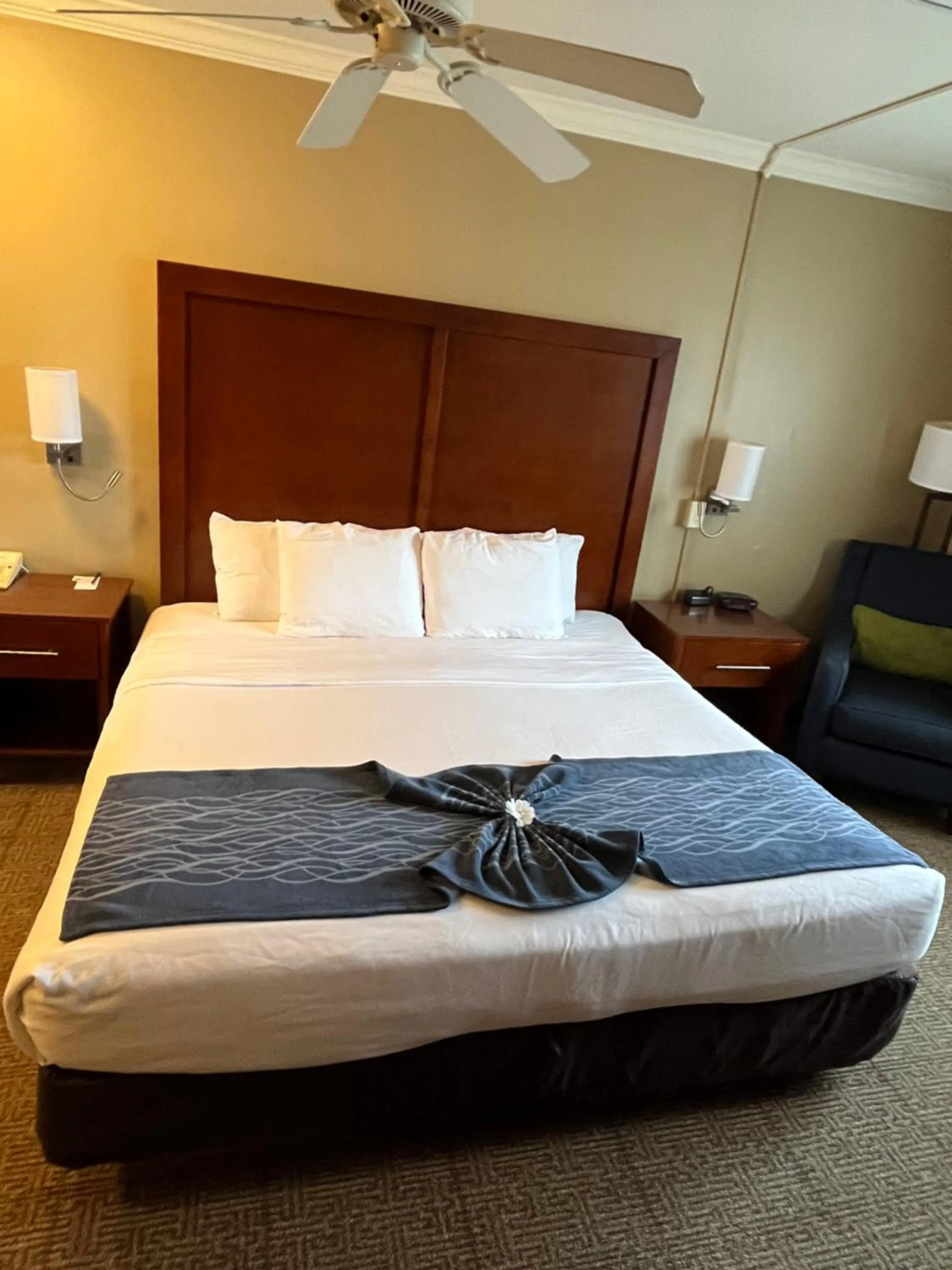 Property building, Bed in Comfort Inn & Suites Ocean Shores