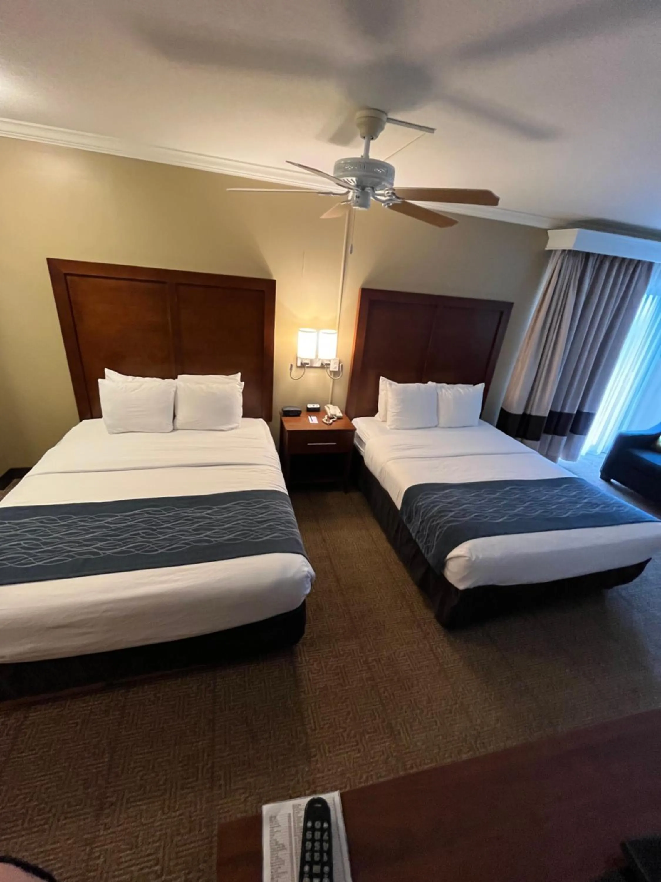 Bedroom, Bed in Comfort Inn & Suites Ocean Shores