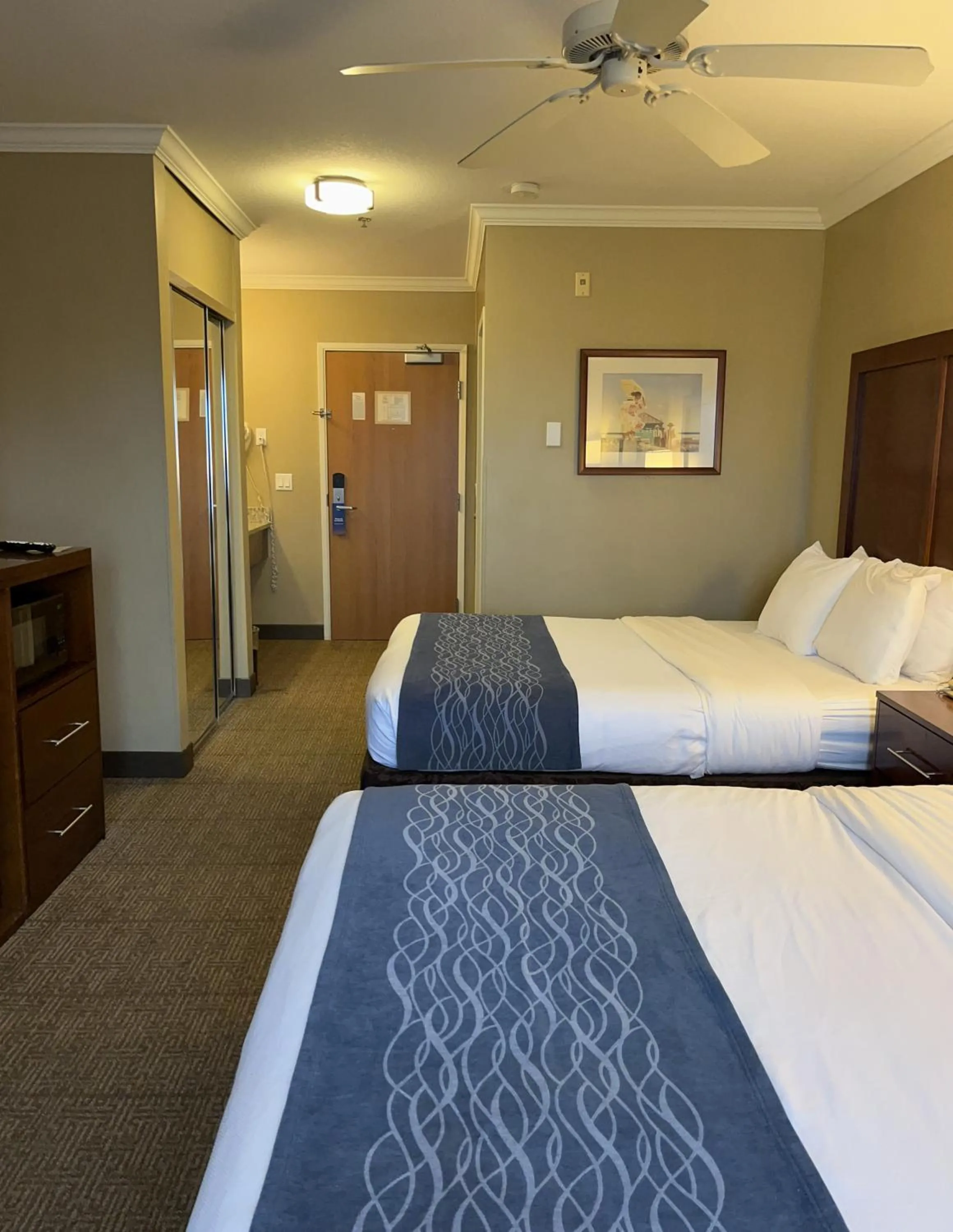 Bedroom, Bed in Comfort Inn & Suites Ocean Shores