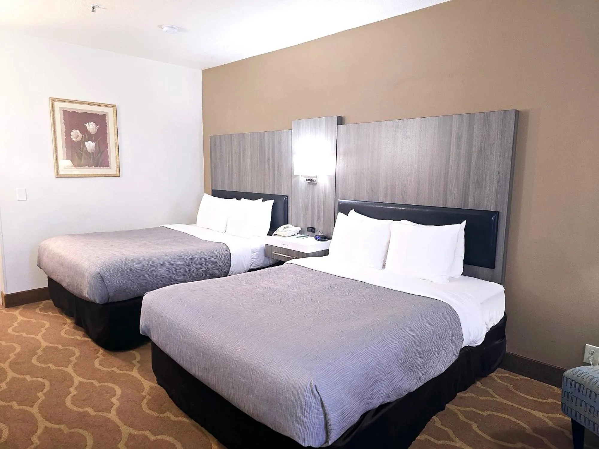 Bedroom, Bed in Quality Inn & Suites Longview Kelso