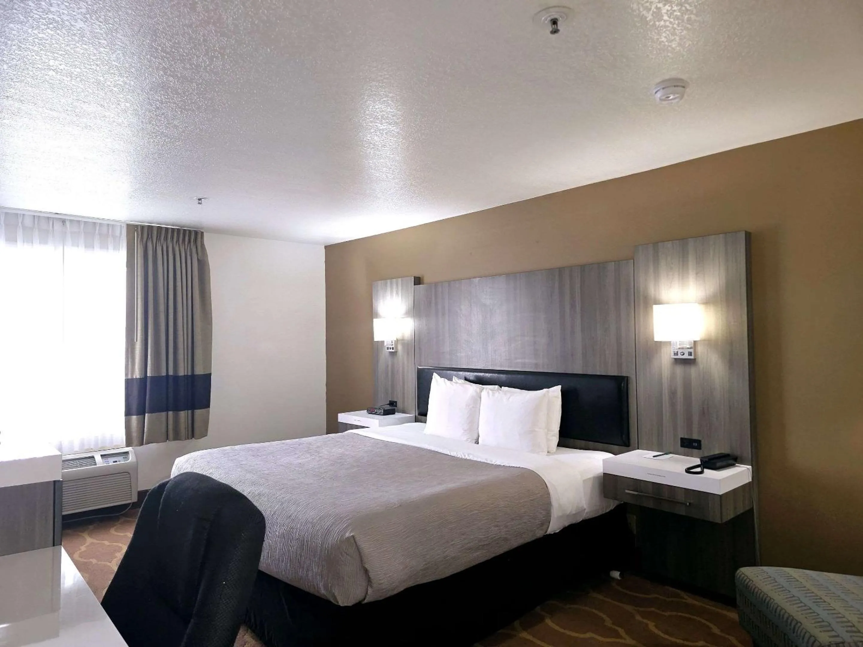 Bedroom, Bed in Quality Inn & Suites Longview Kelso