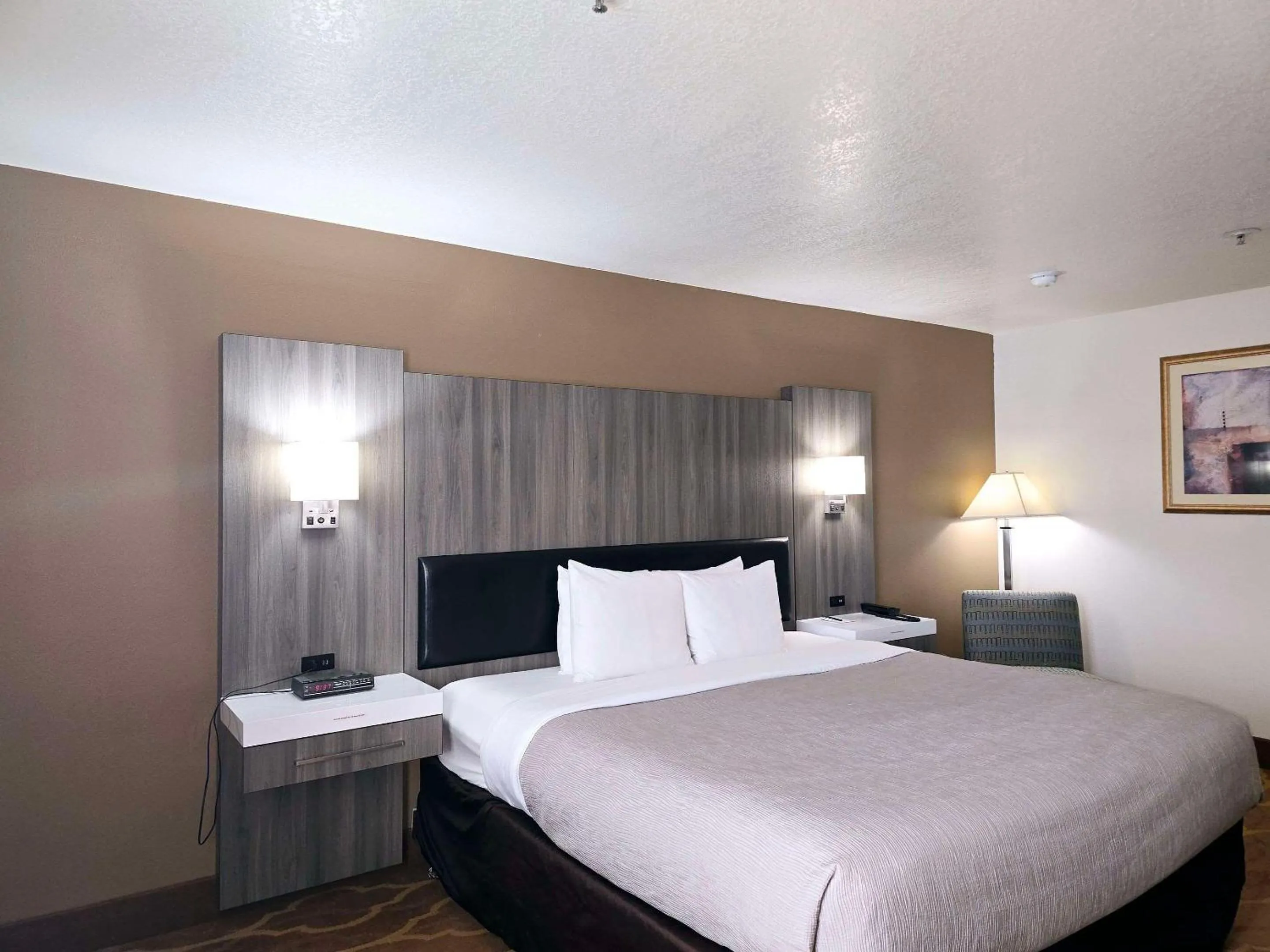 Bedroom, Bed in Quality Inn & Suites Longview Kelso