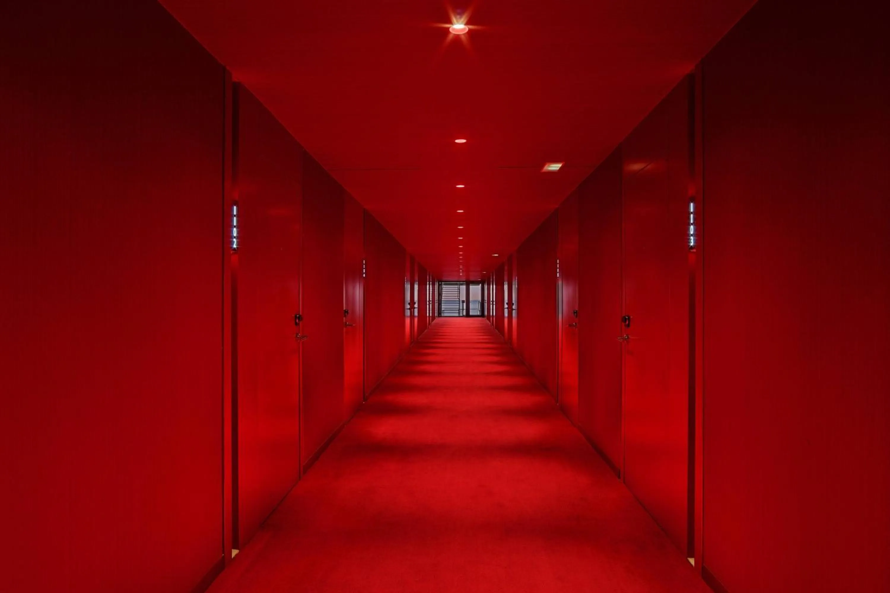 Photo of the whole room in W Barcelona