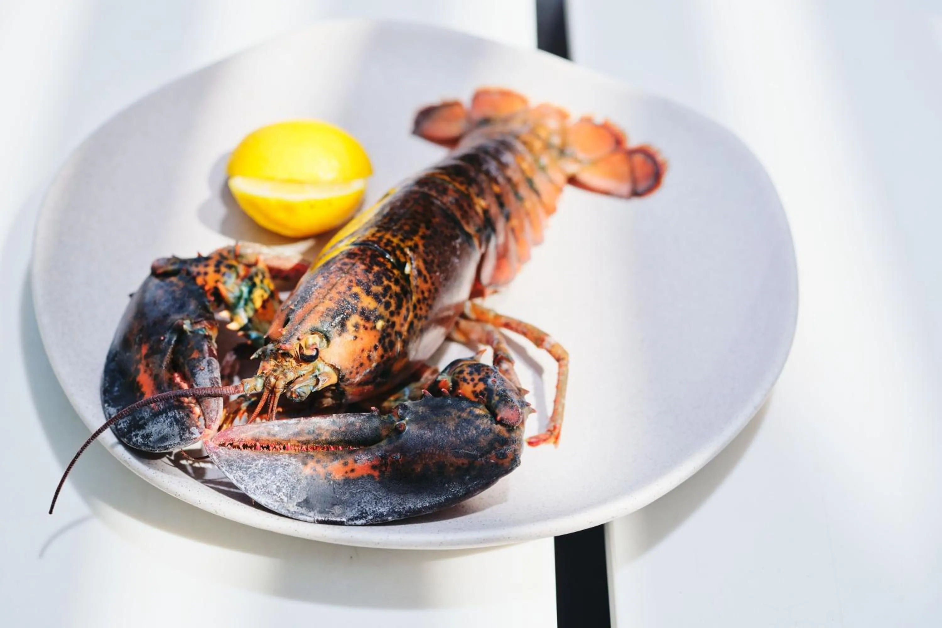 Restaurant/places to eat in W Barcelona